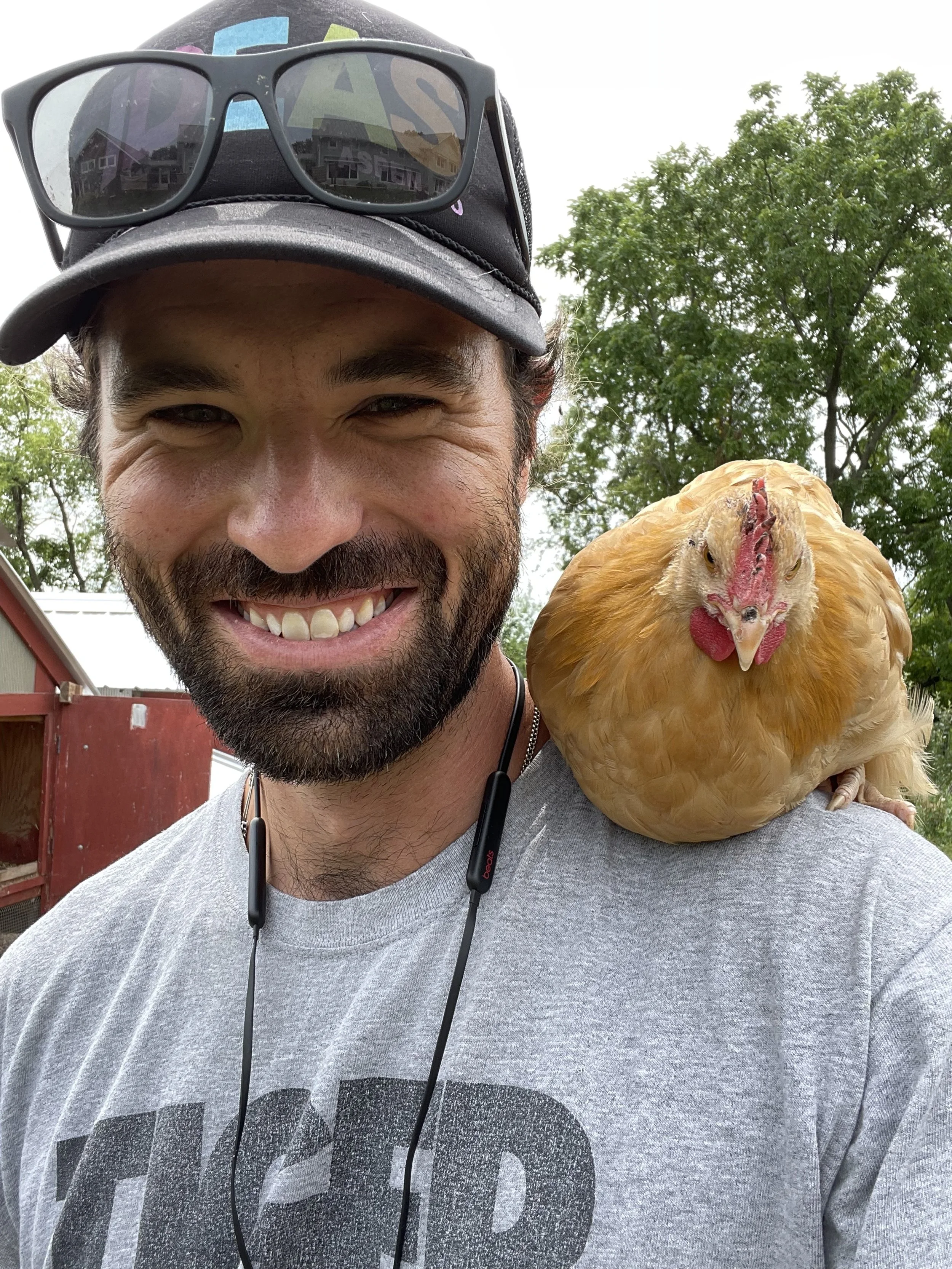 A smiling man with a beard wearing a cap with sunglasses on top and a gray shirt, with a chicken perched on his shoulder outdoors with trees and a red structure in the background.