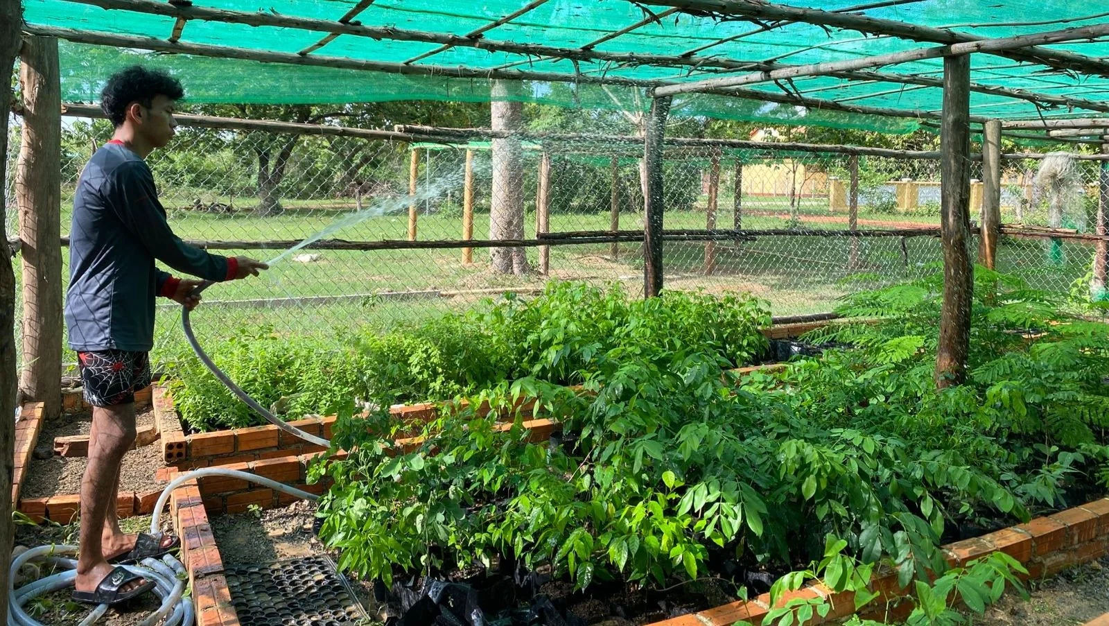 Person watering plants in a backyard garden with green foliage and a green shade cover overhead.