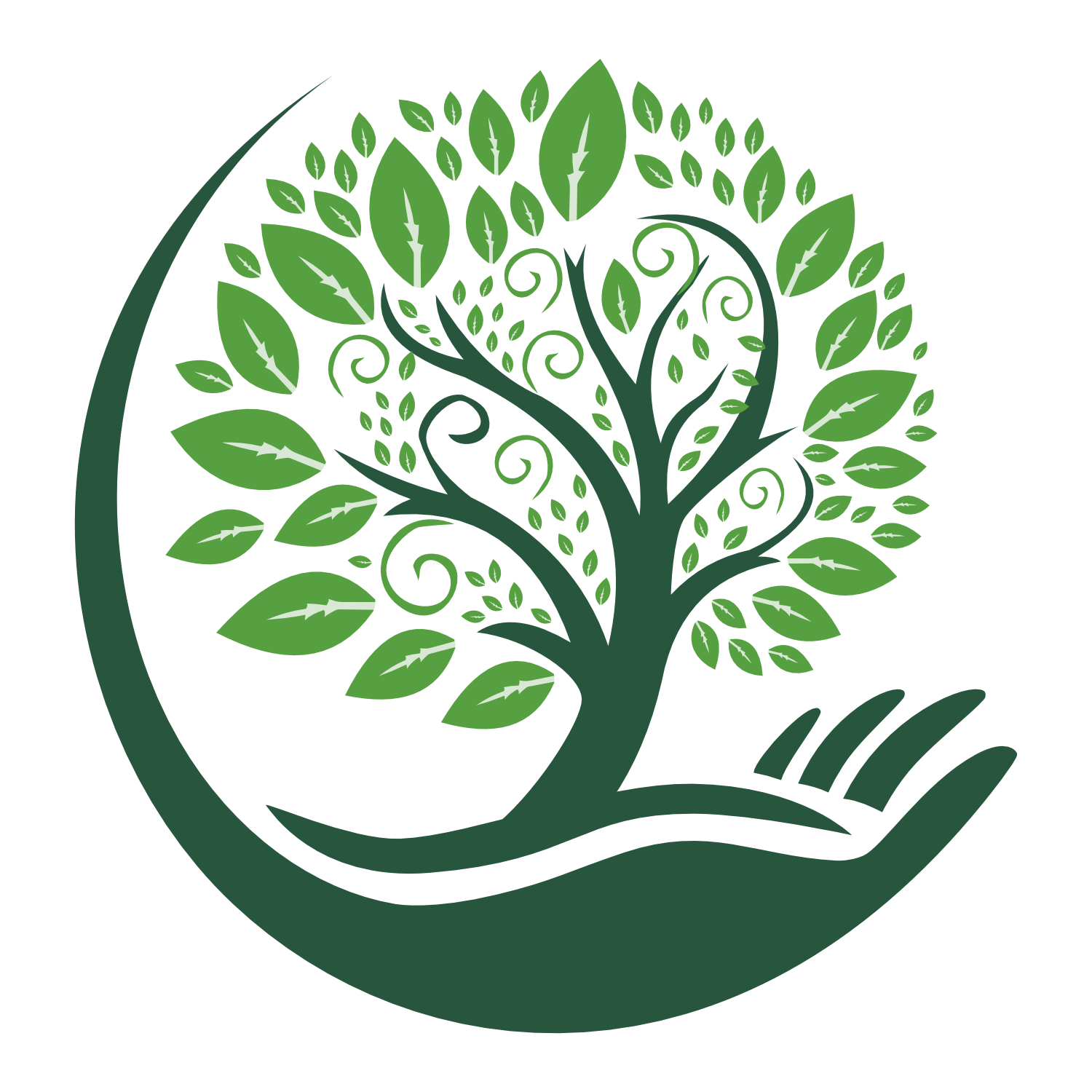 30,000 Trees Cambodia