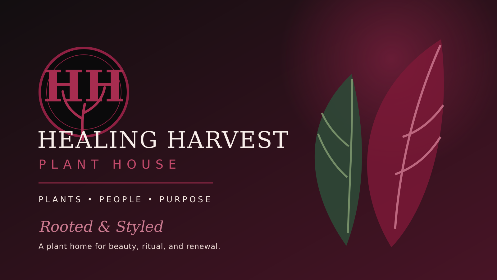 Healing Harvest Plant House — Plants, People, Purpose — Rooted and Styled