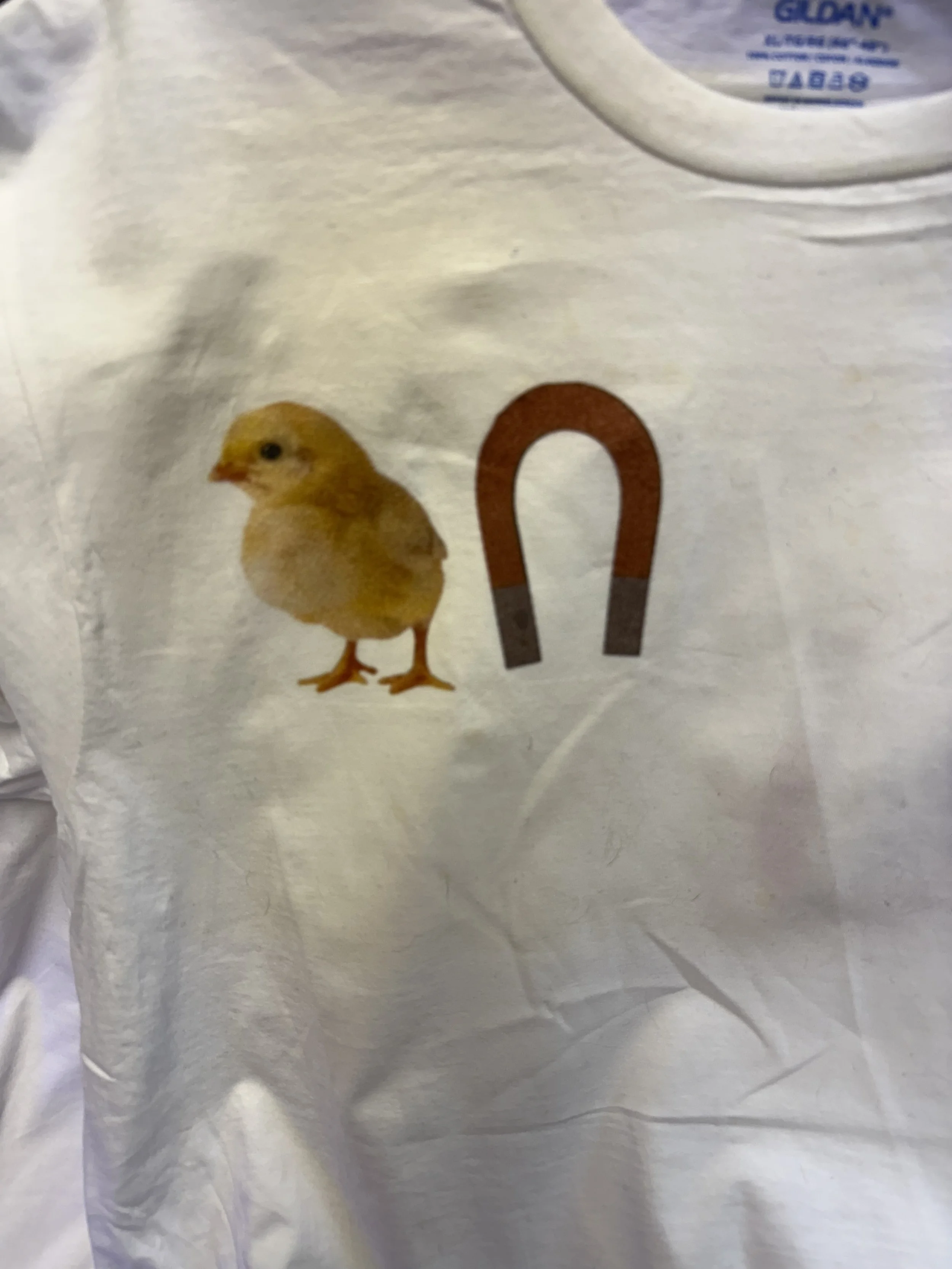 Chick Magnet T Shirt