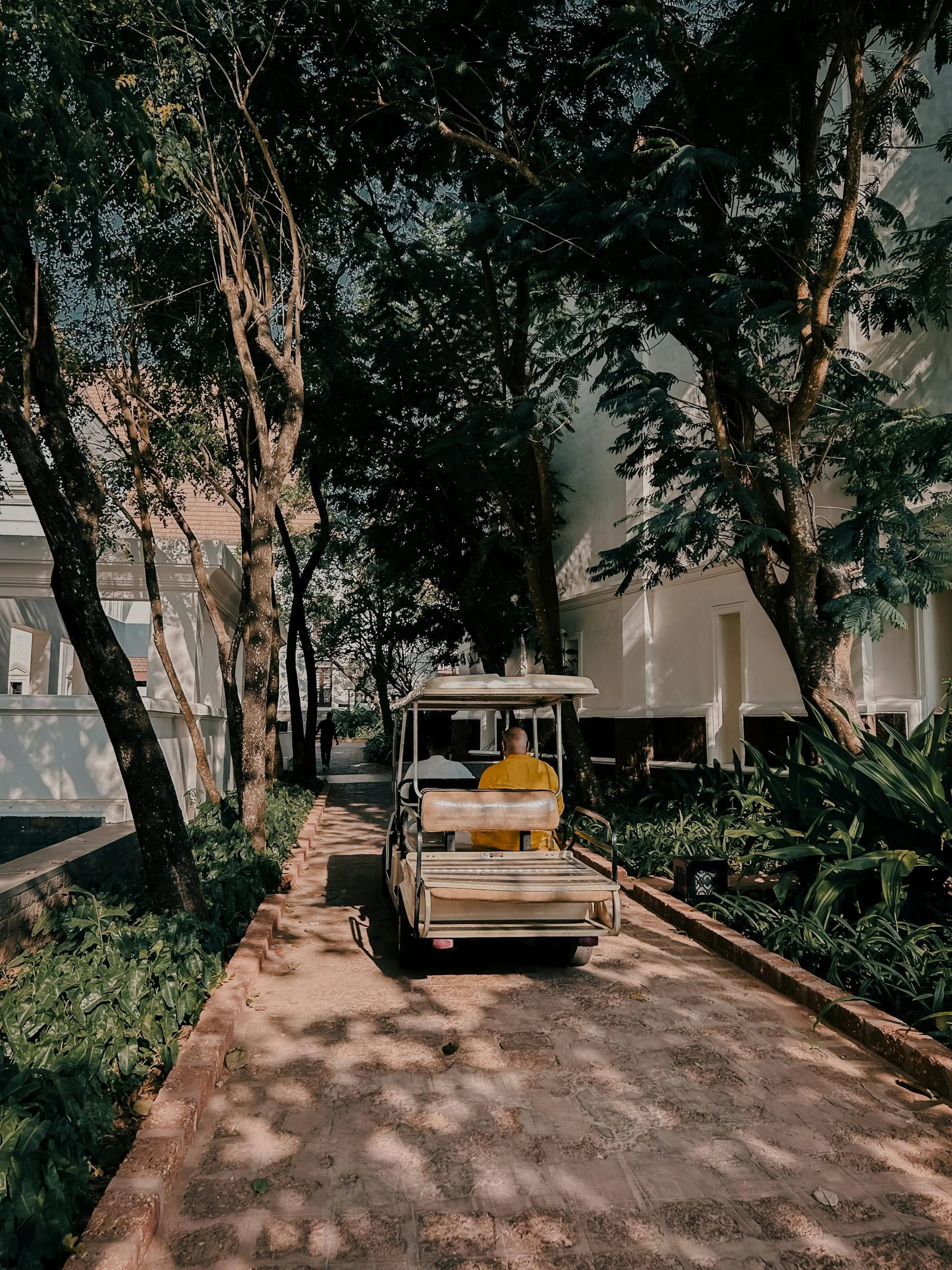 How the Growing Trend of Golf Cart Rentals is Redefining Urban Mobility