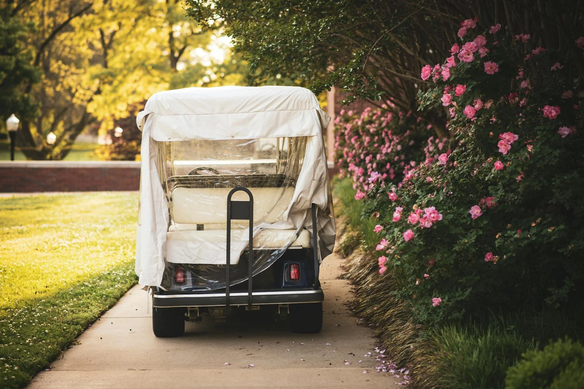 Exploring the Best Options for Affordable Golf Cart Rental