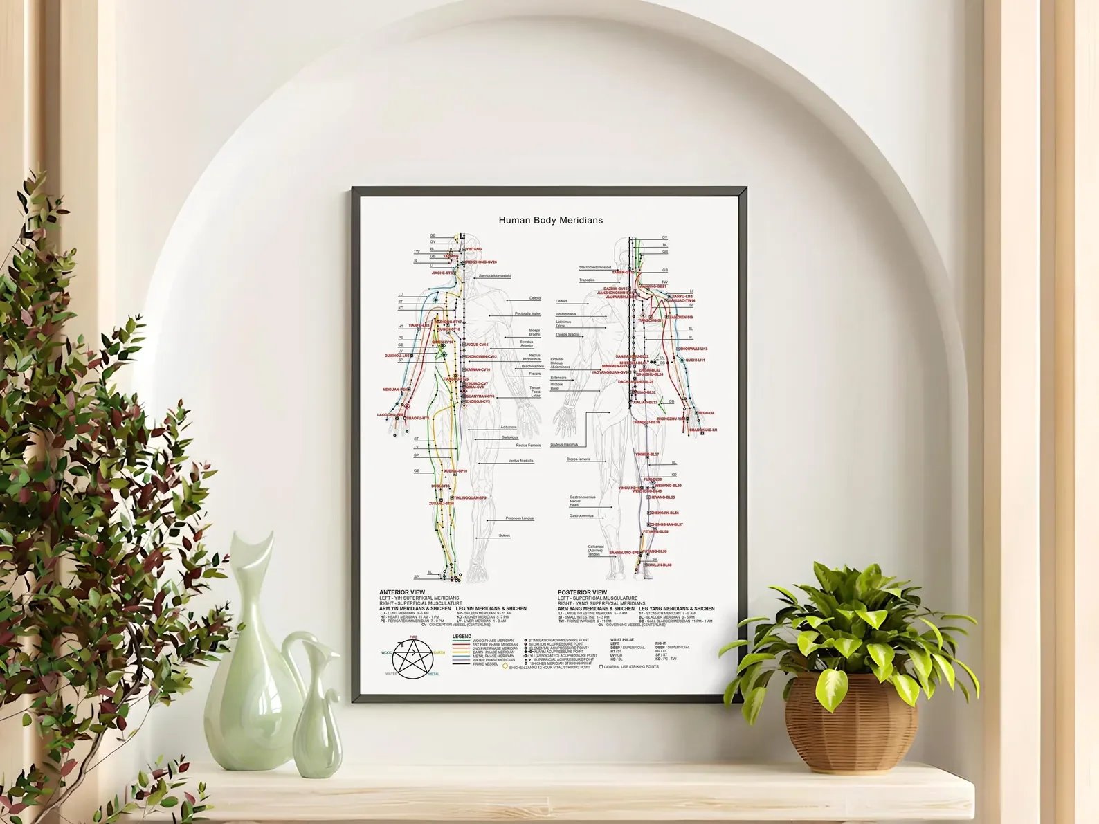 Meridian chart displayed in a calm acupuncture treatment space