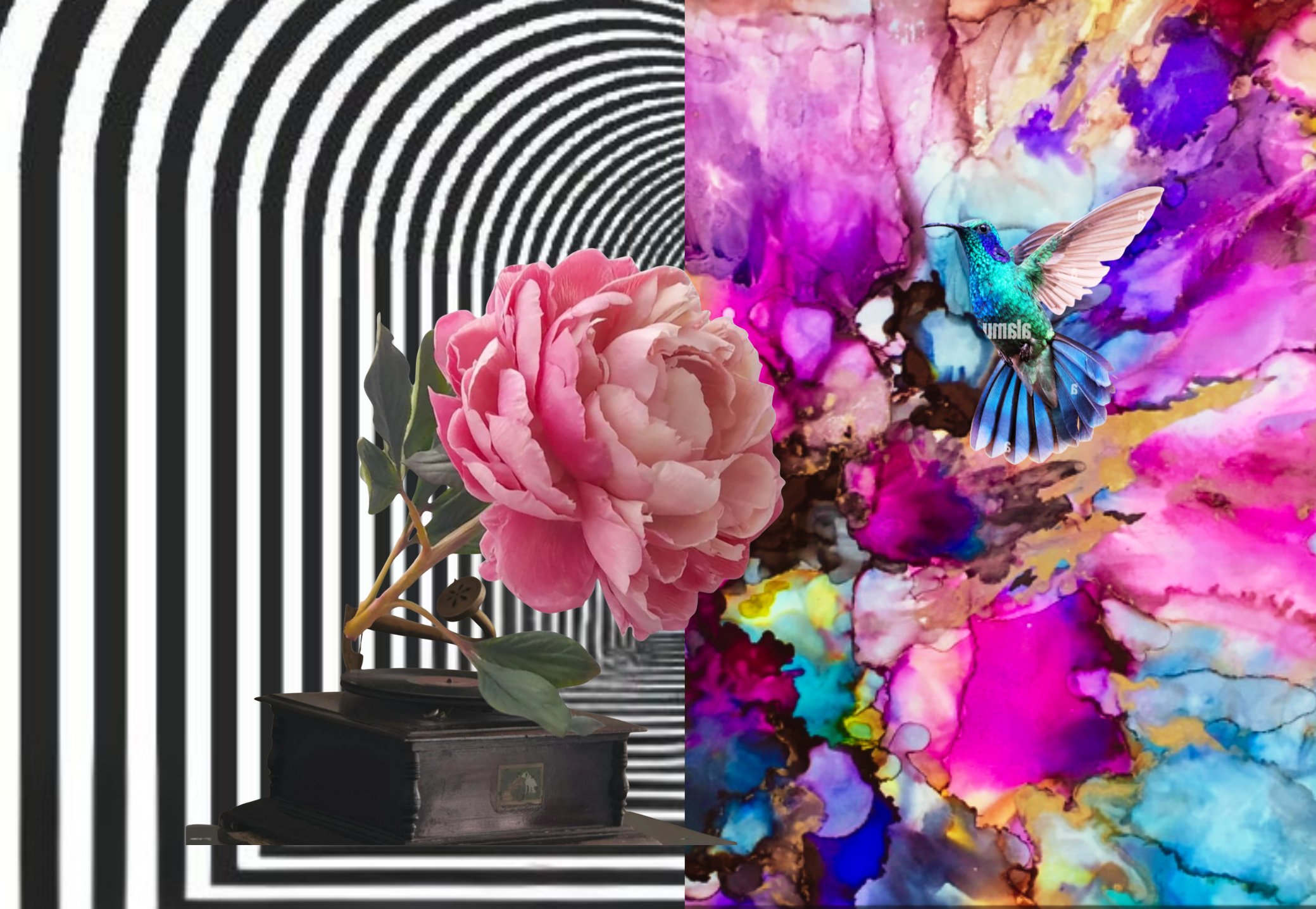 Collage mêlant fleur, gramophone et fond abstrait coloré, recherche visuelle pour le tableau Transition.