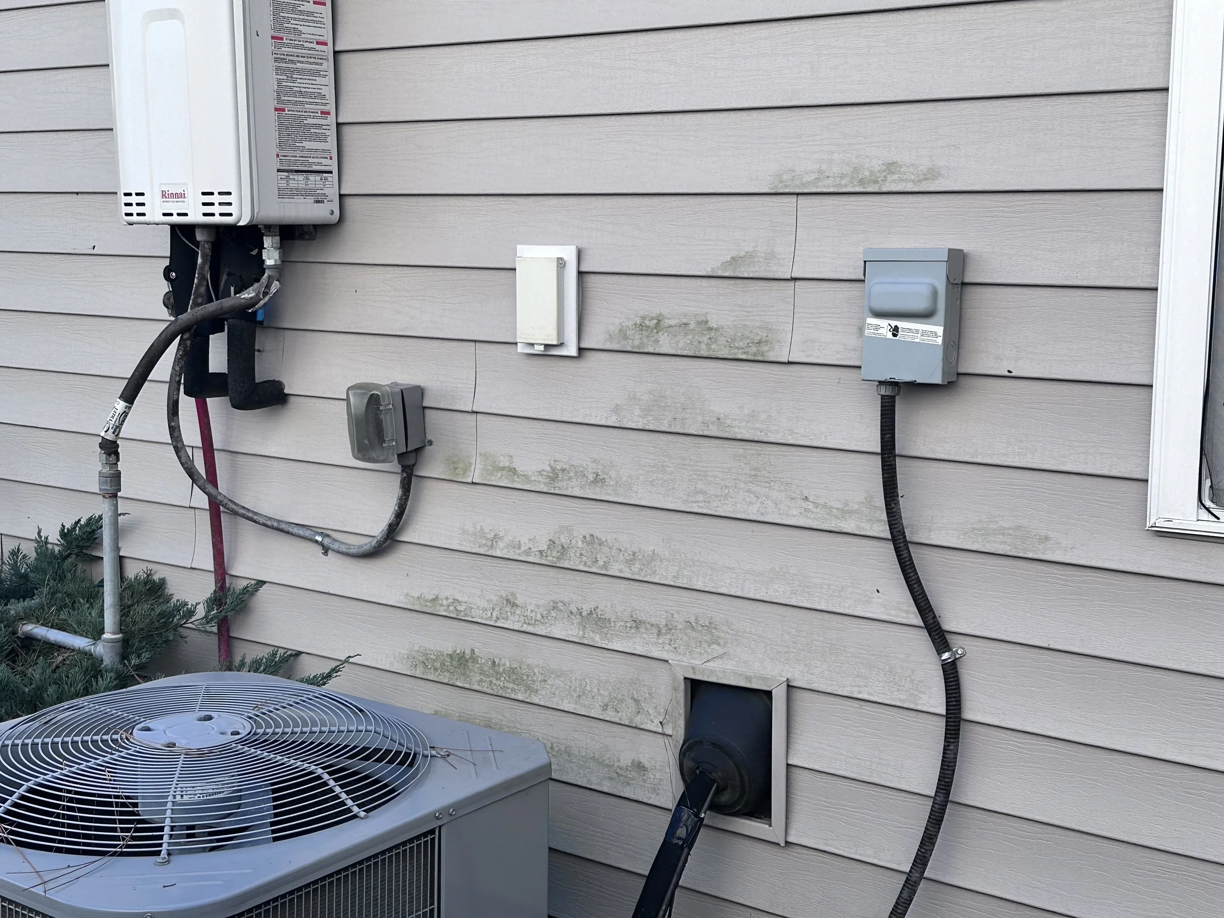 house washing , algae , vinyl siding