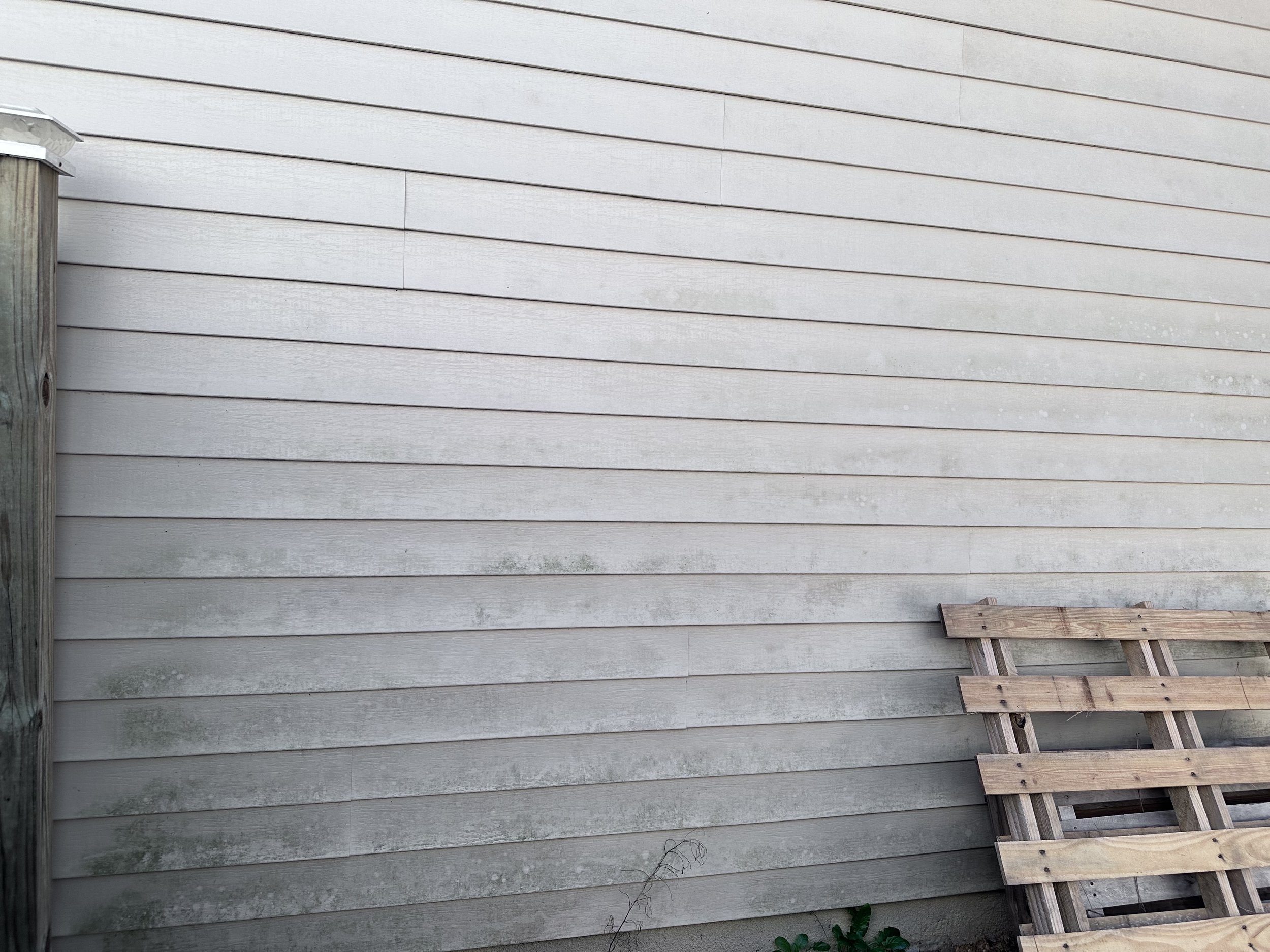 house washing , algae , vinyl siding