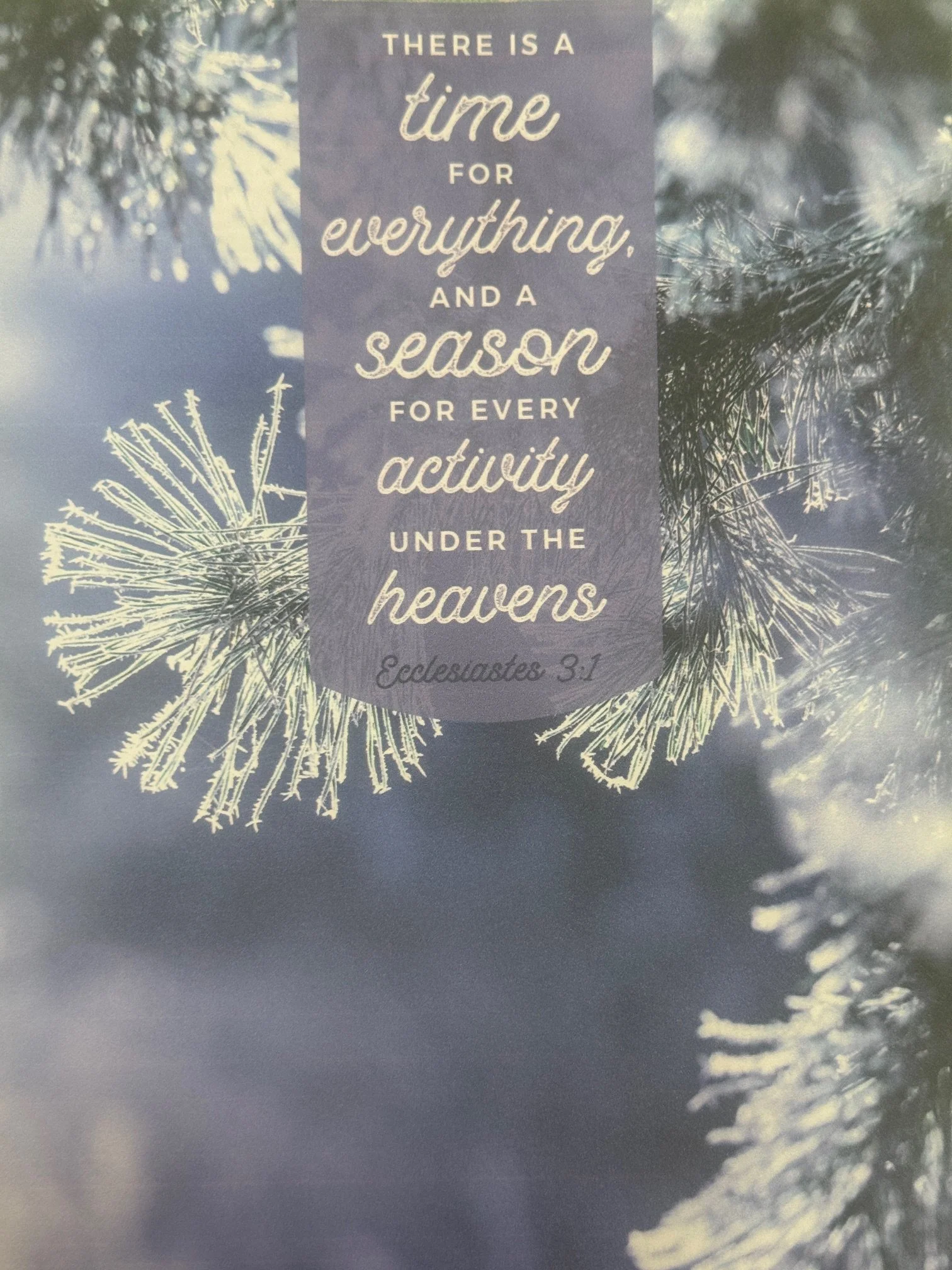 Weekly Bulletin 3-1-2026