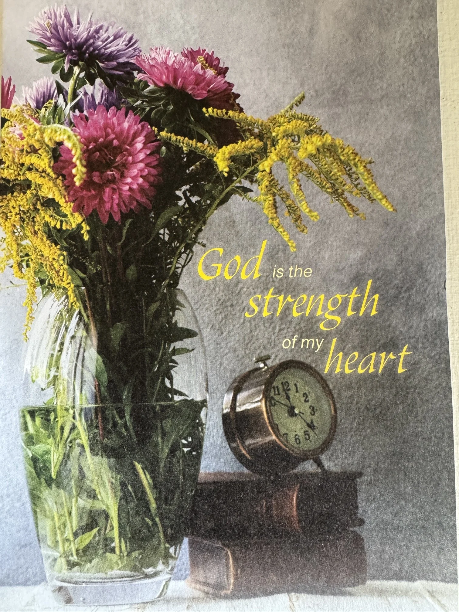 Weekly Bulletin 3-15-2026