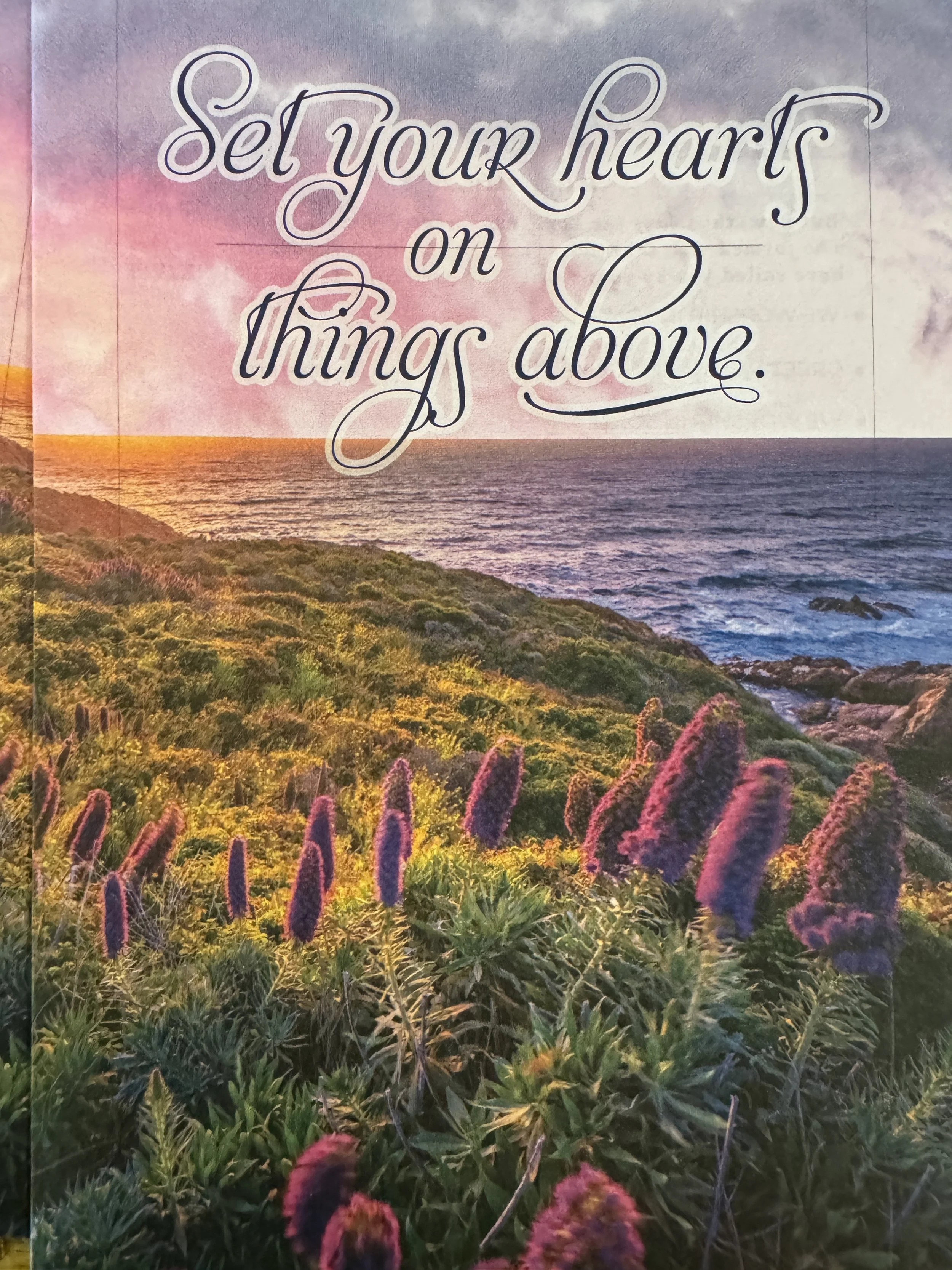 Weekly Bulletin 3-22-2026