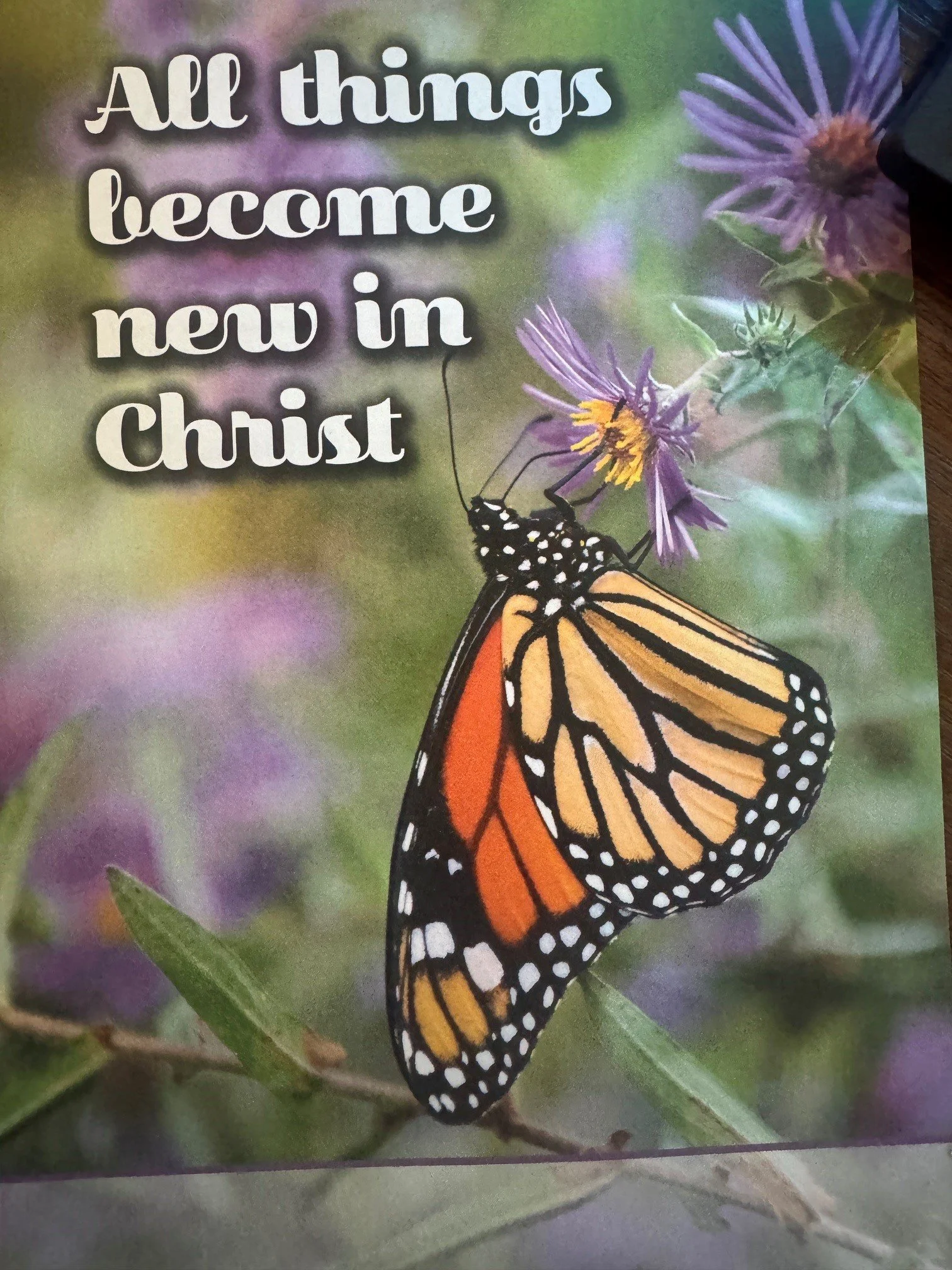 Weekly Bulletin 4-12-2026