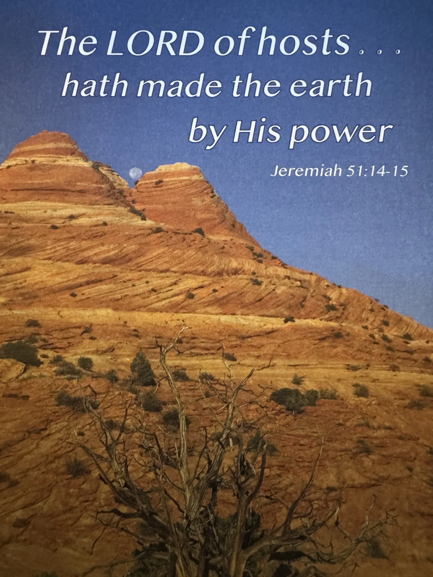 Weekly Bulletin 6-14-2026 