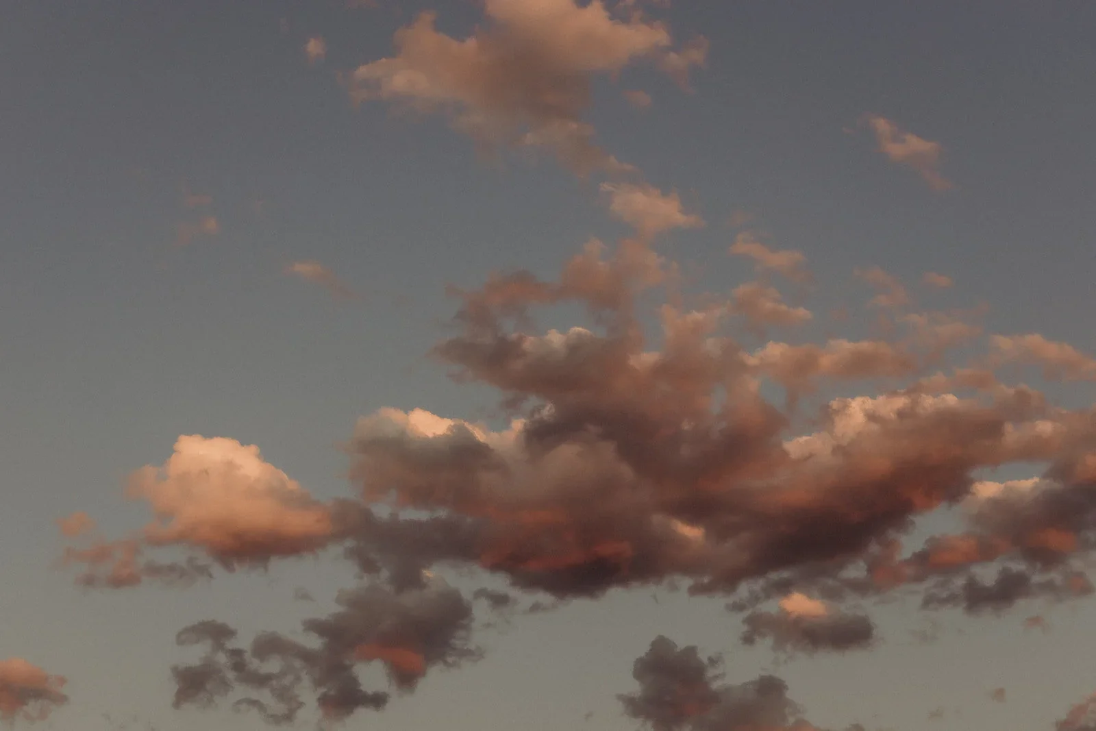 Heirlooms Design_The Stakeout Taos238_destination wedding.webp