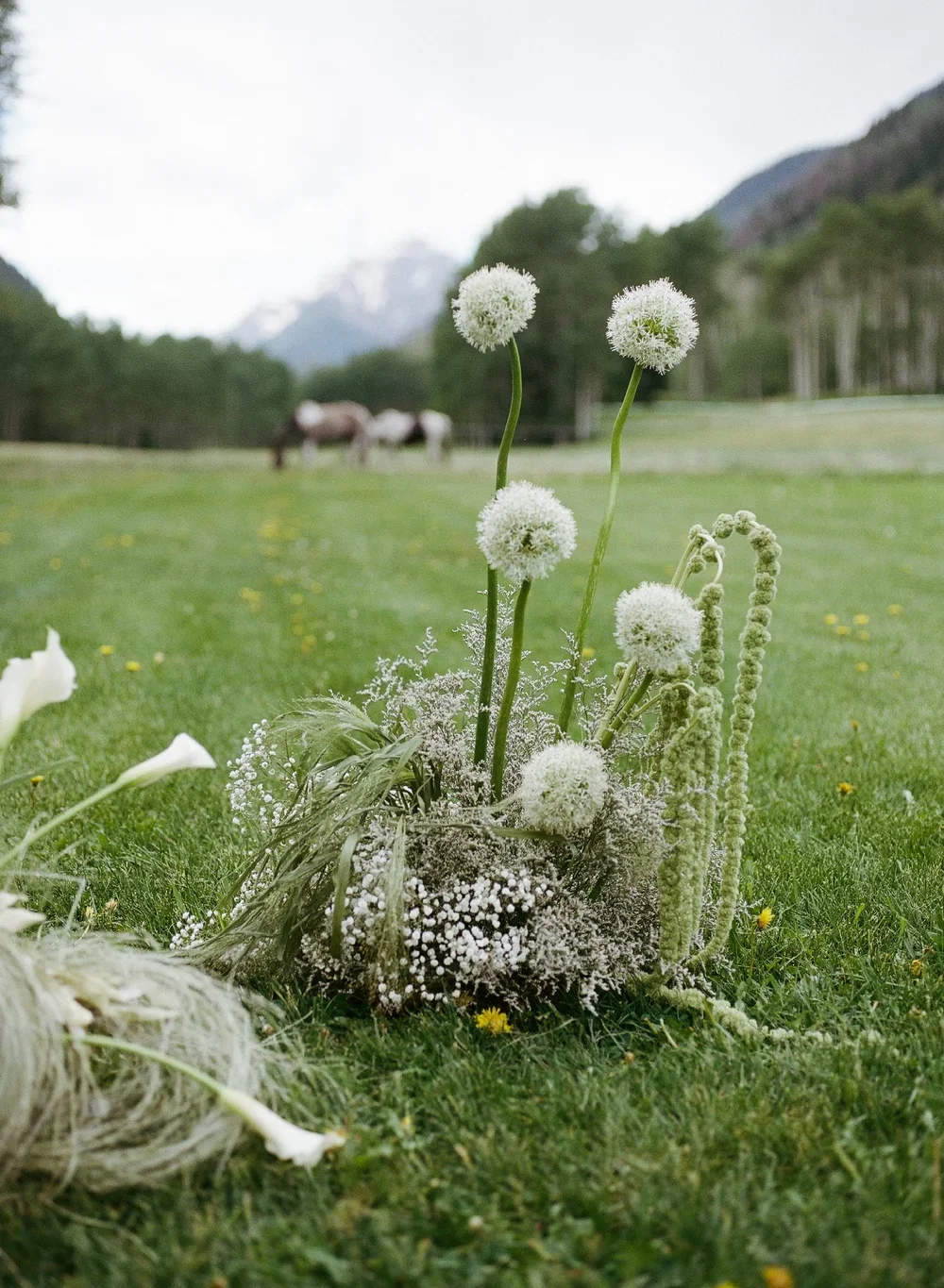 Aspen+Wedding_Heirlooms+Design__EMKStudio-185.webp