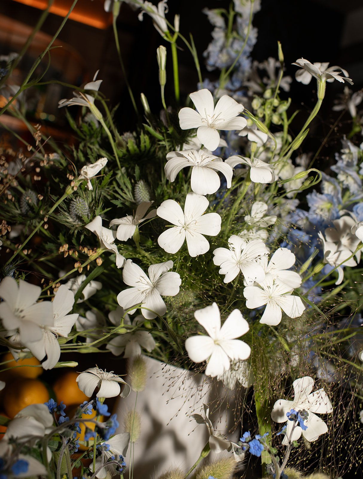 Heirlooms Design_Paul B Photography_Telluride Destination Wedding-82.jpg