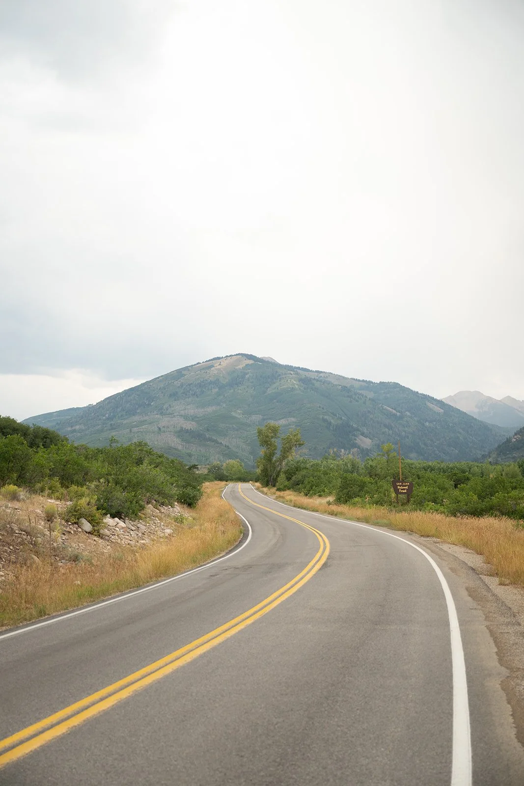 Heirlooms Design_Paula B Photography_Colorado Destination Durango Wedding-1.jpg
