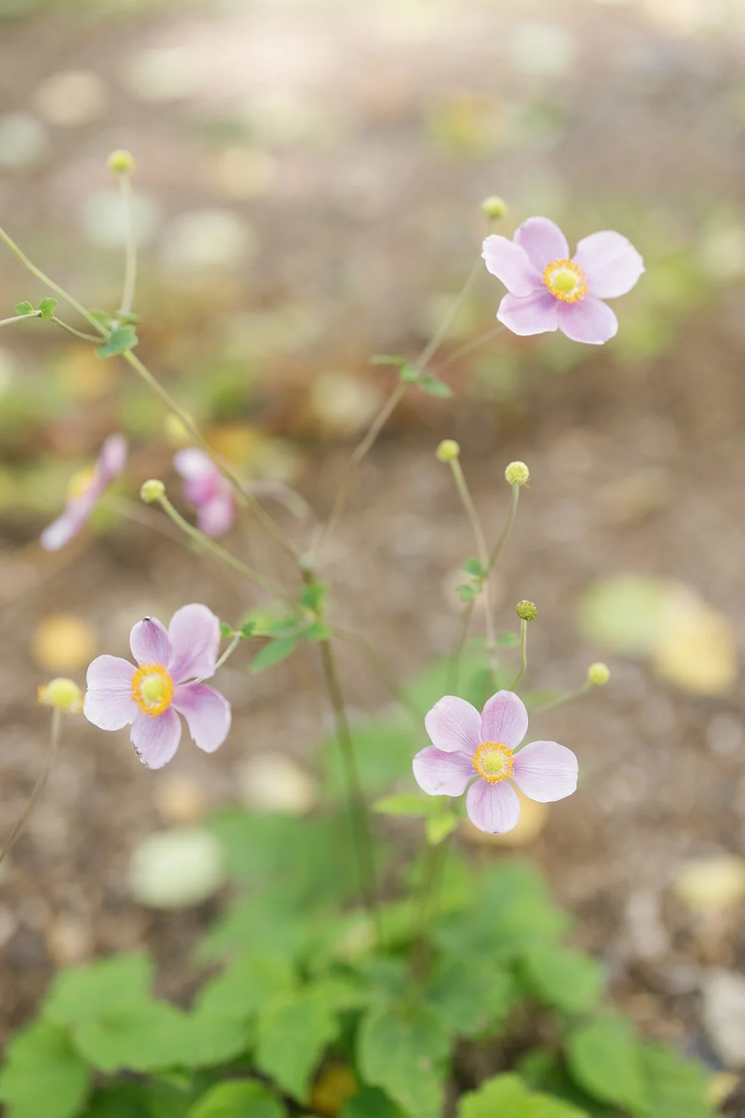 Heirlooms Design_Destination Colorado Wedding9929.jpg
