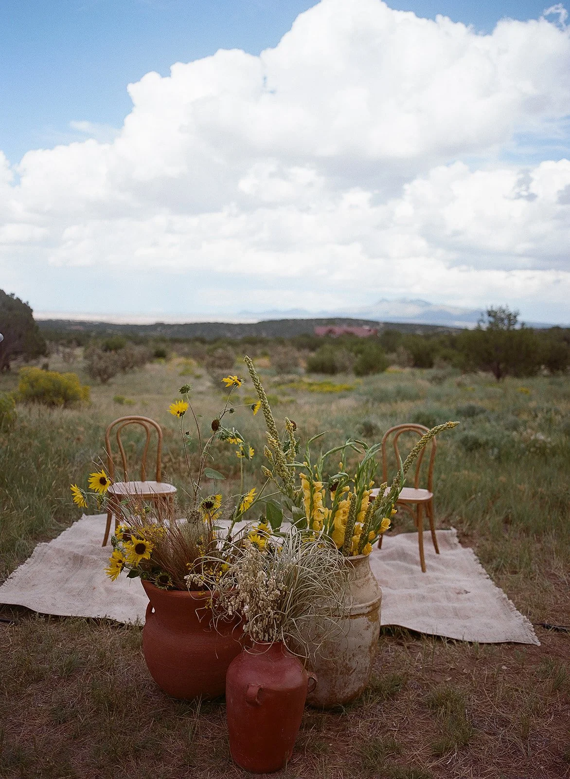 Heirlooms Design_Laura Dart_Santa Fe wedding_514.jpg