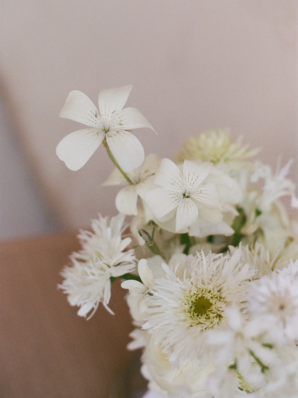 Heirlooms Design_Paul B Photography_Telluride Destination Wedding-65.jpg