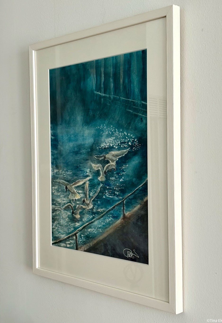 The seagulls' breakfast time.JPEG