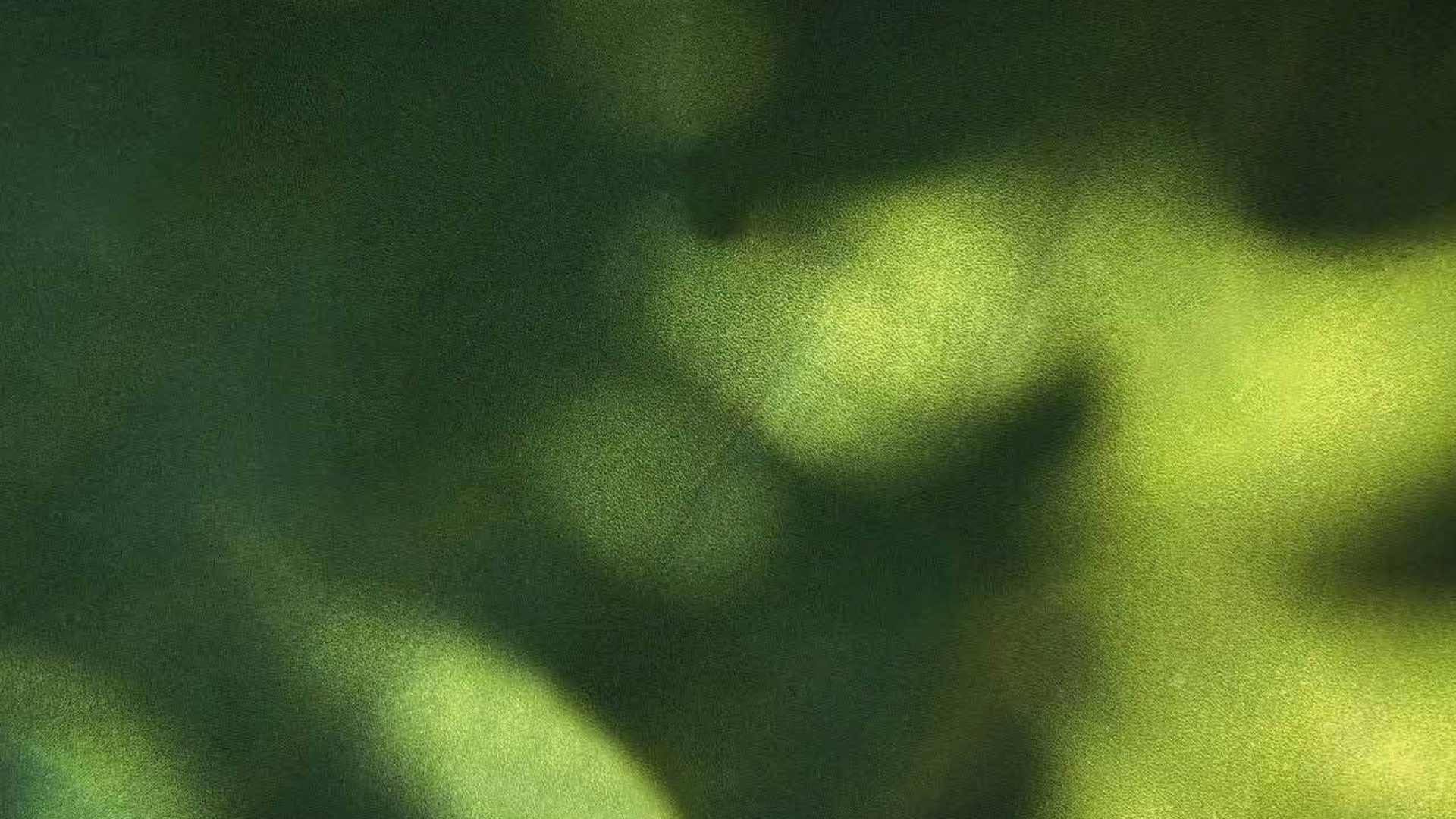 estrategias digitales a tu medida