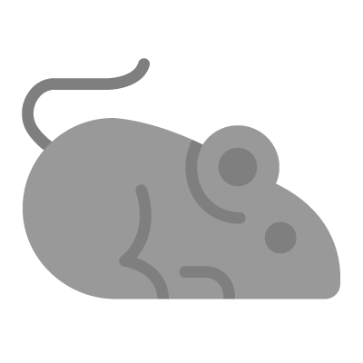 A gray computer mouse on a black background.