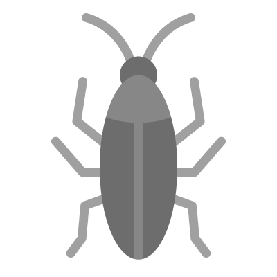 Gray insect with six legs and antennae on black background.