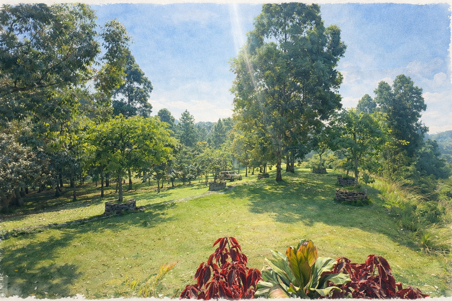 garden view painting.png
