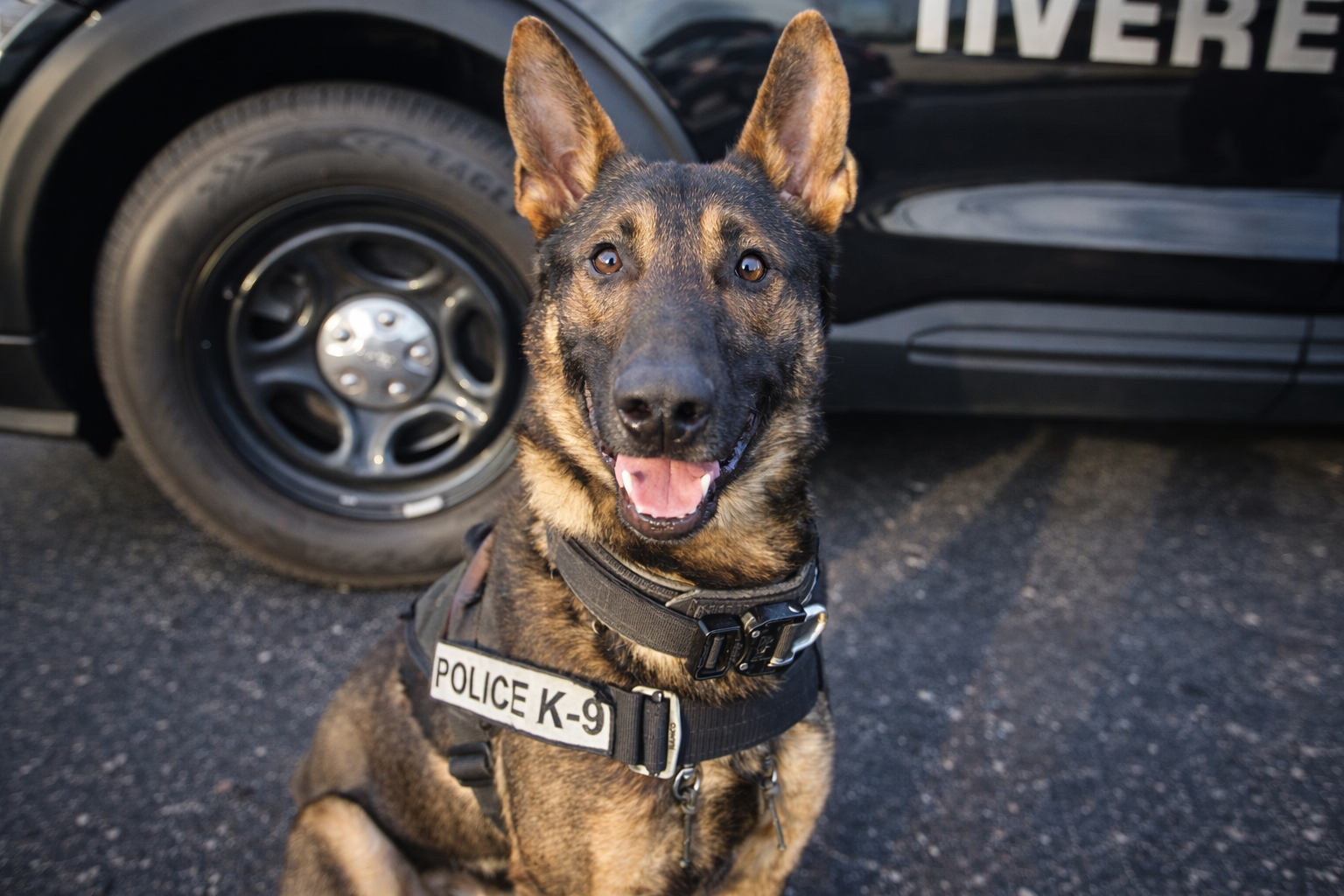 ChatGPT Image Dec 30, 2025, 10_27_27 AM.png