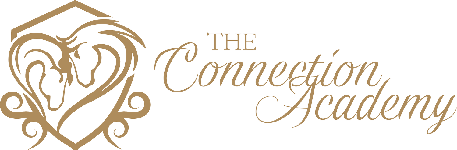 The Connection Academy LLC