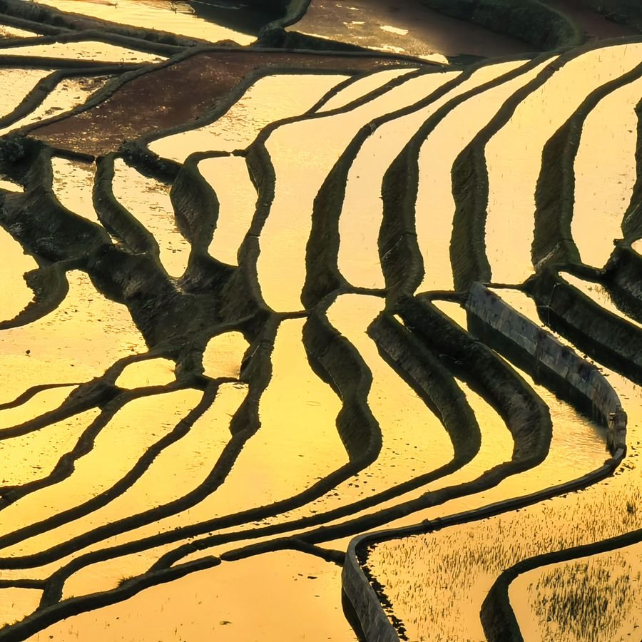 Order and Disorder: Life, Imagination and the Search for Meaning