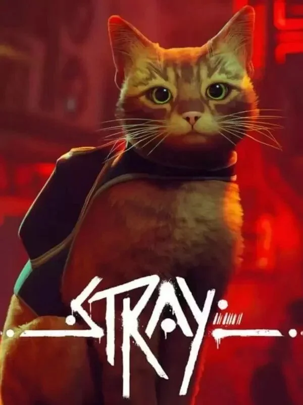 Stray