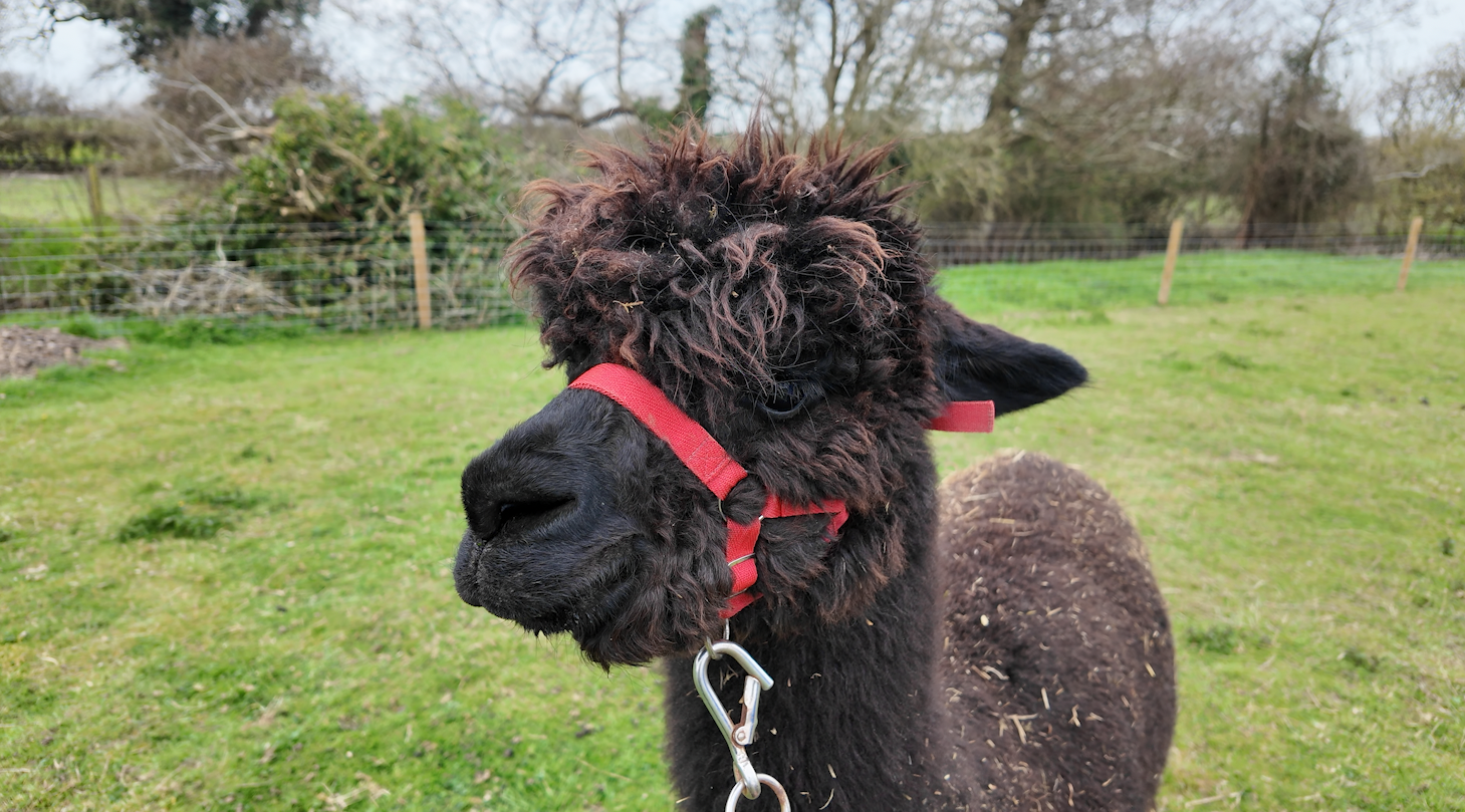 Screenshot 2026-04-13 at 16.06.50.png