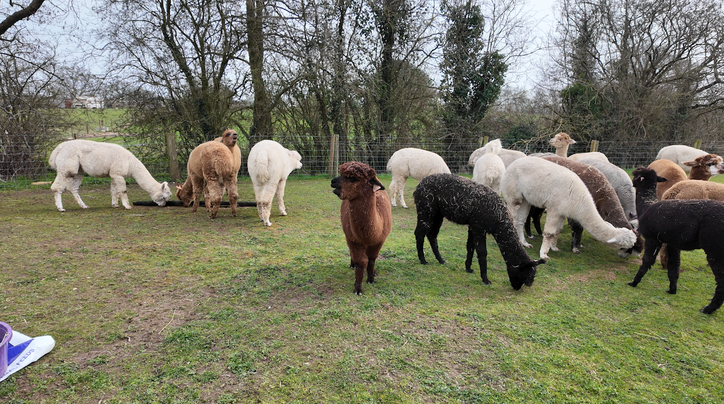 Screenshot 2026-04-13 at 16.07.28.png