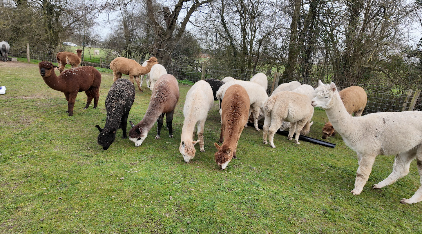 Screenshot 2026-04-13 at 16.08.19.png