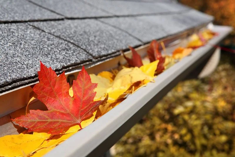 Close-up of red and yellow fallen leaves lined up along a gutter on a house roof, with blurred autumn foliage in the background.