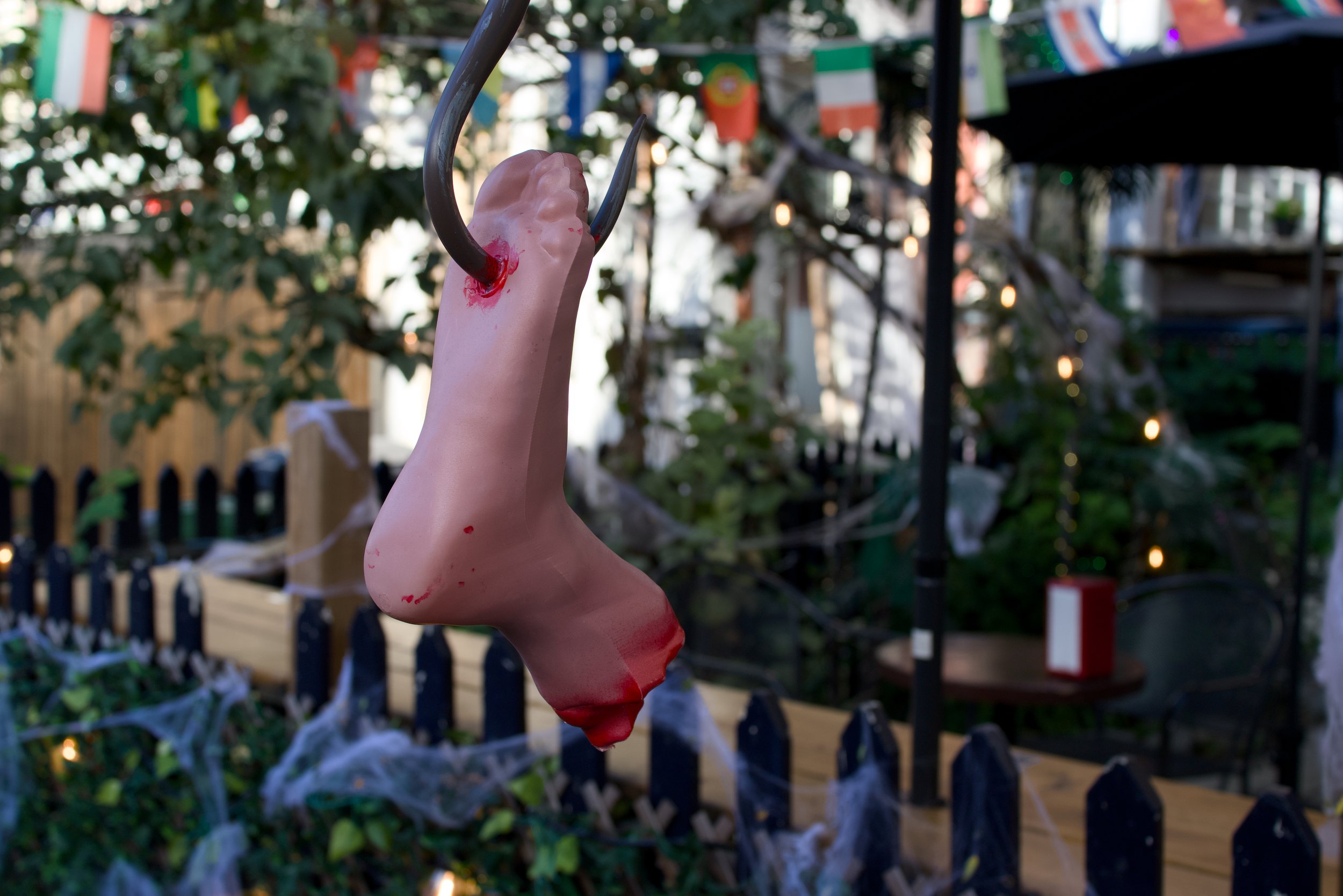 DSC_1084.jpeg