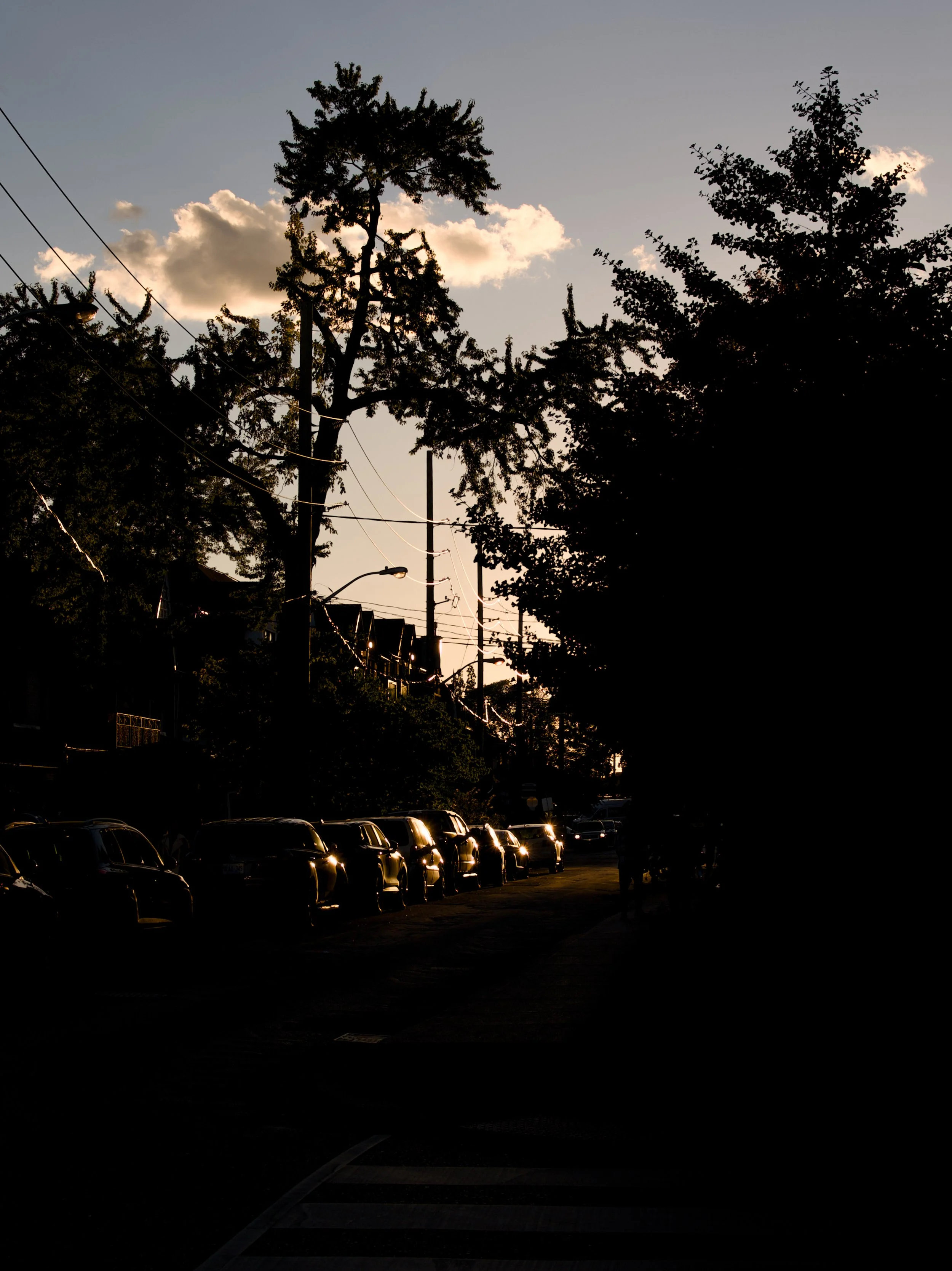 DSC_1117.jpeg