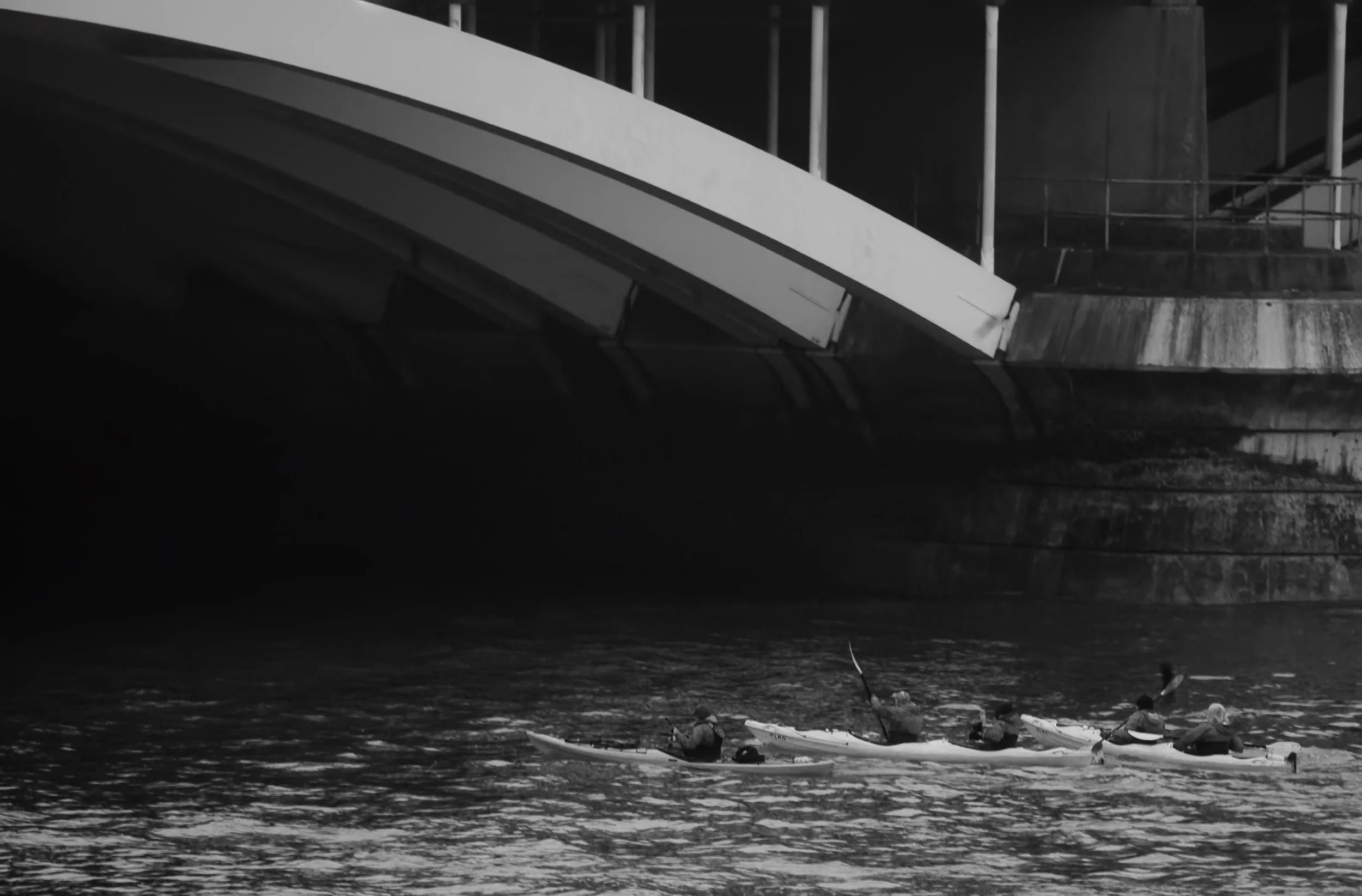 Silent Currents, Shared Journey.jpg