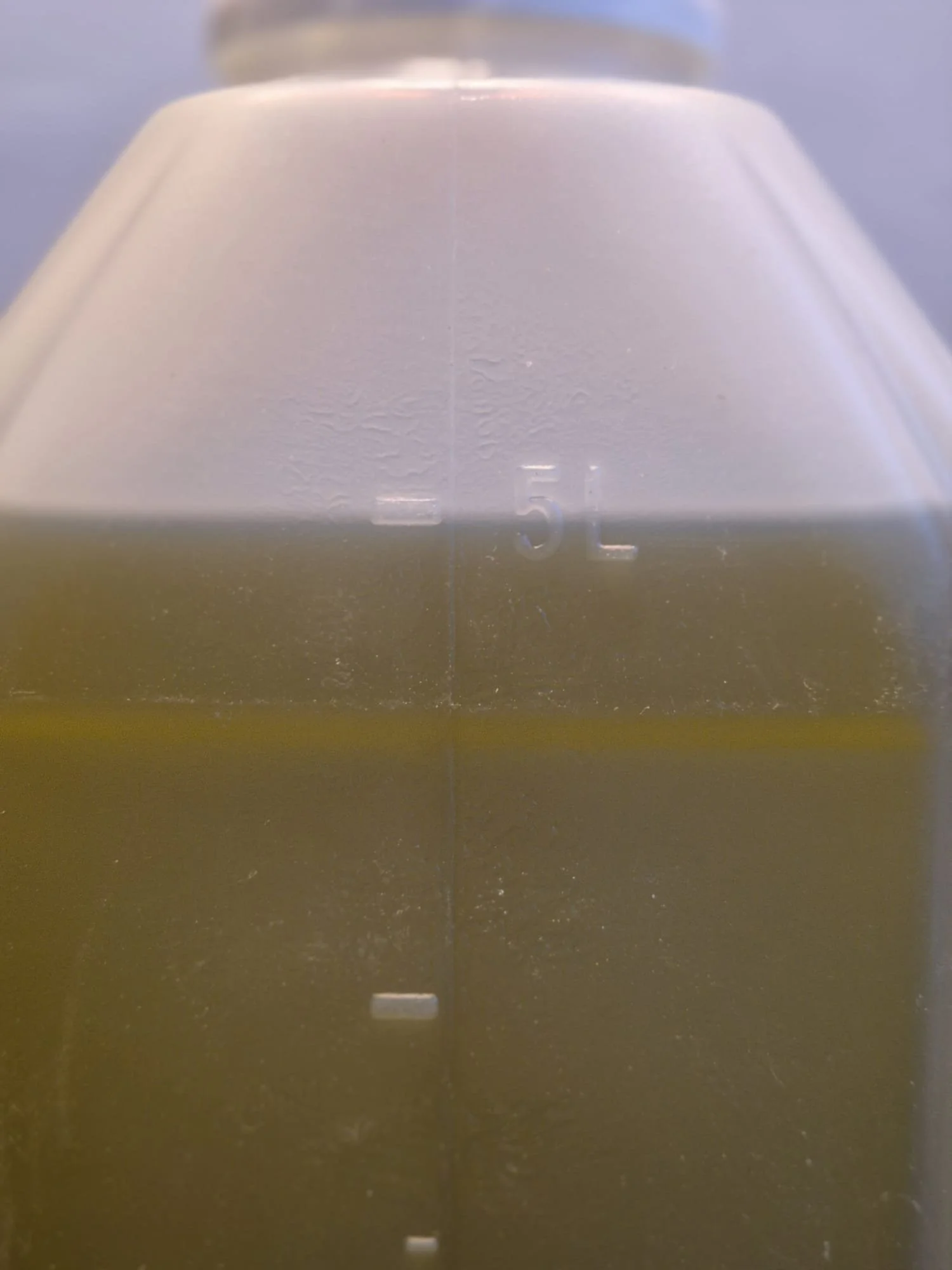 huile d'olive nyons aop ab 5 litres