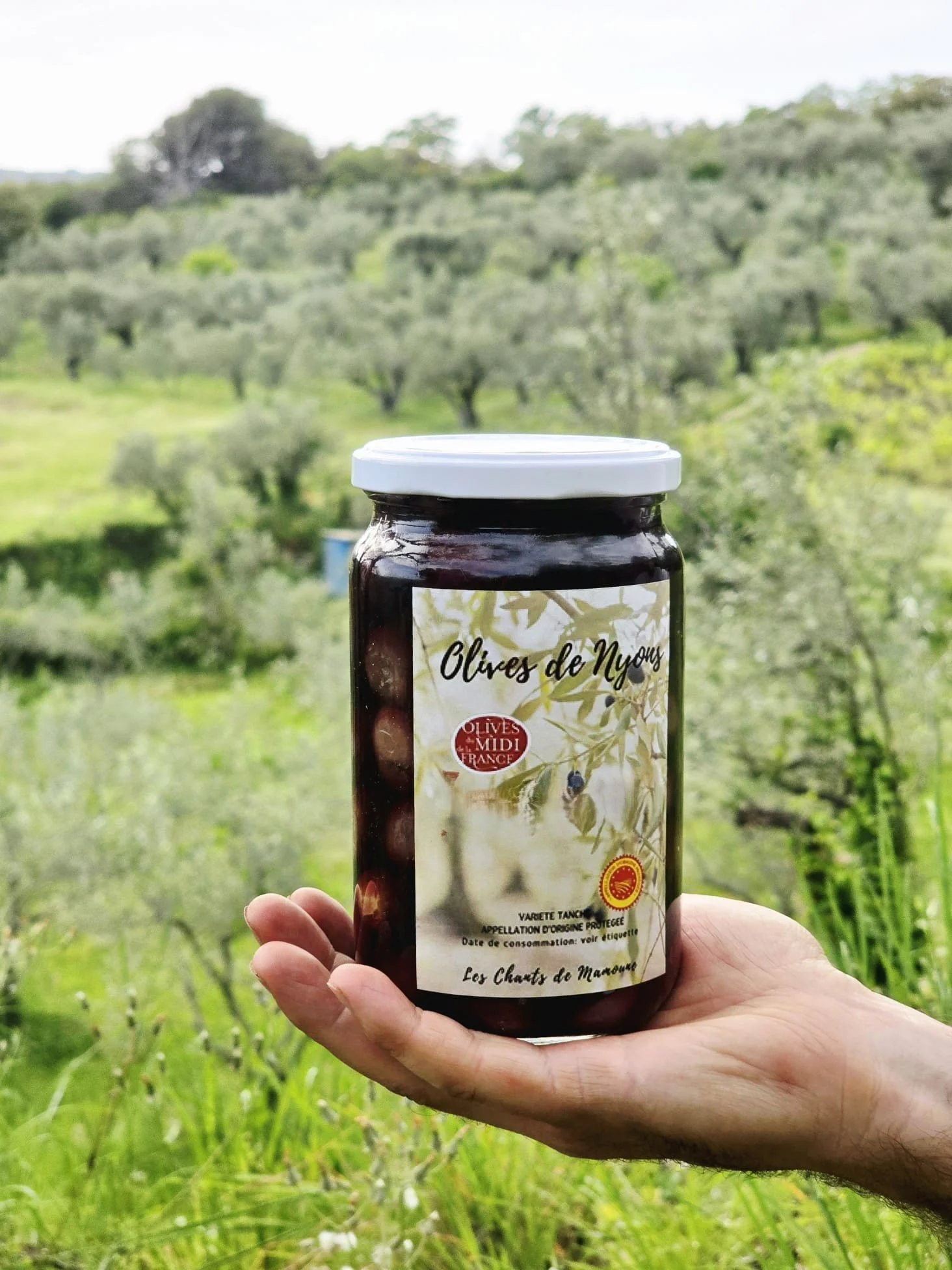 olives de table de nyons en saumure pot 450g