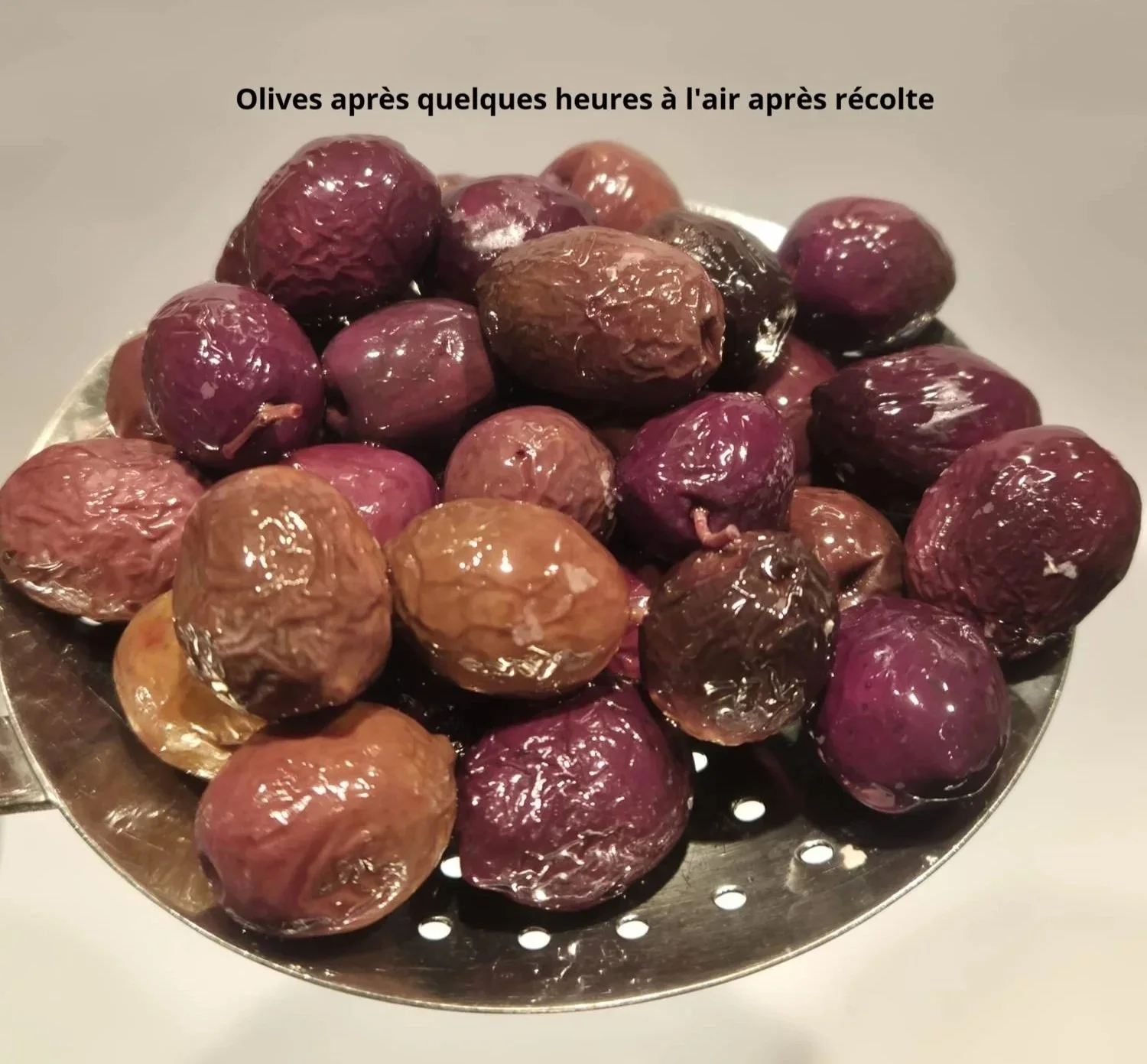 olives+de+table+nyons+ab+aop+apres+quelques+heures+%C3%A0+l%27air.jpg