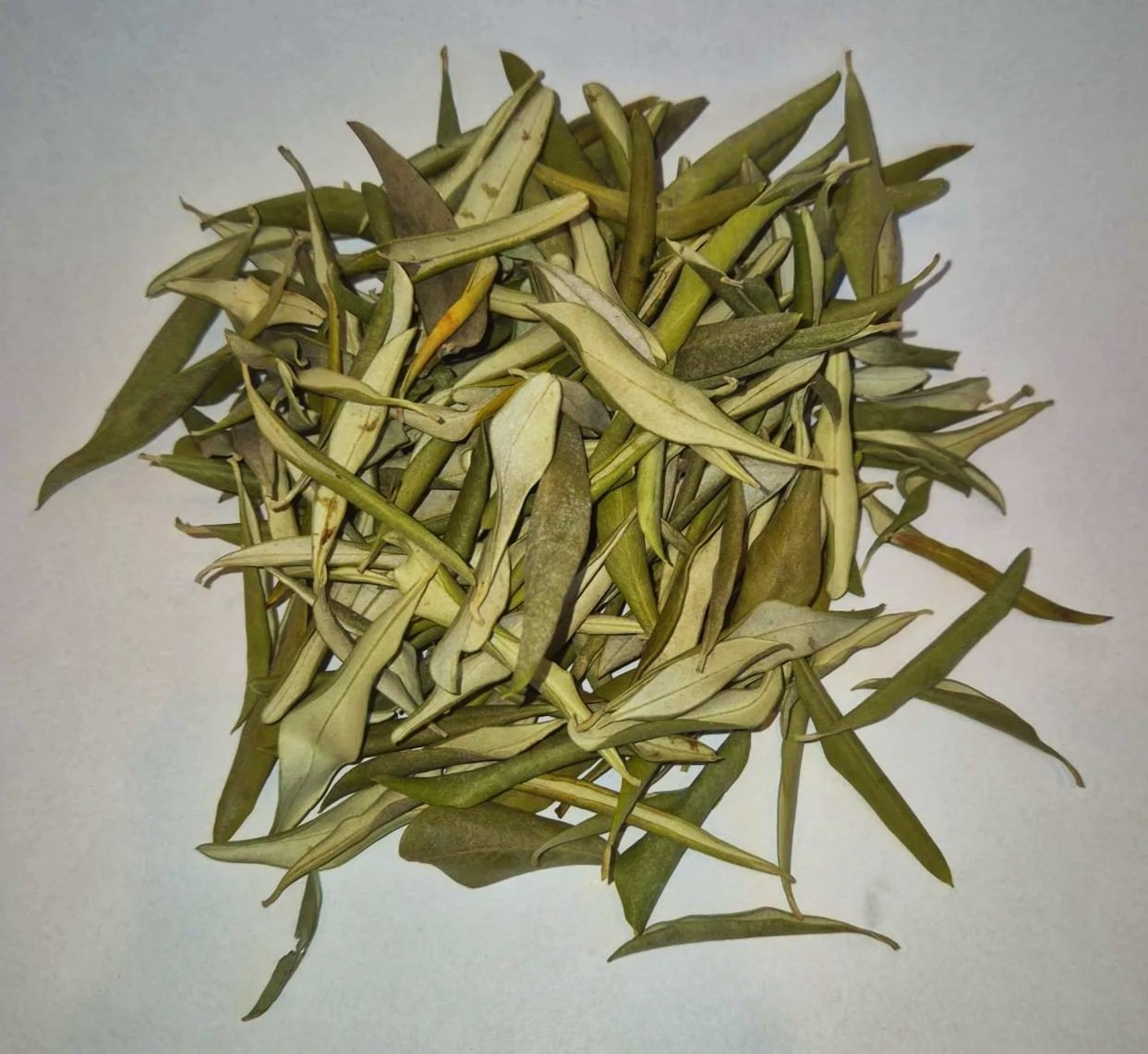 feuilles+d%27olivier+AB+Tanche+vrac.jpg