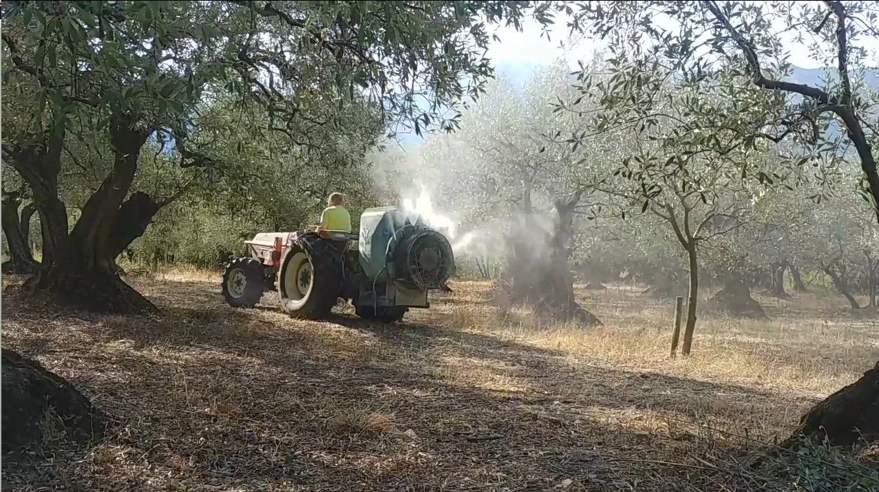 traitement argile olive de nyons bio