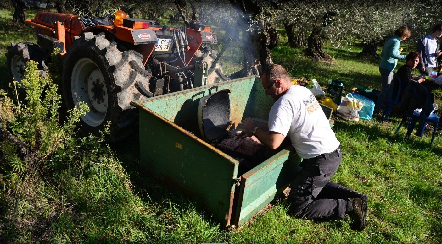 BBQ recolte olives nyons huile AOP Agriculture Biologique.jpg