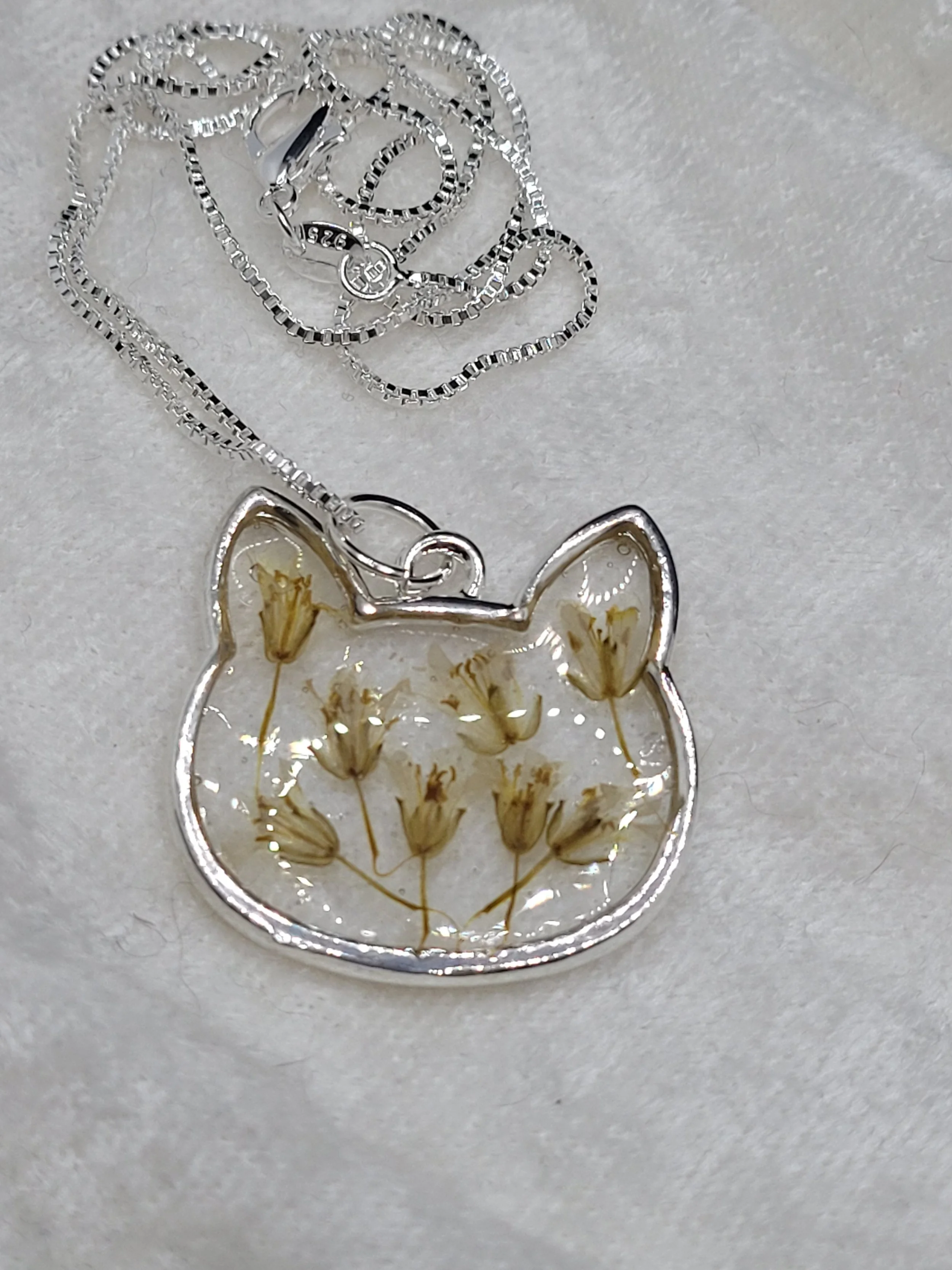 20250421_172751 (1).jpg