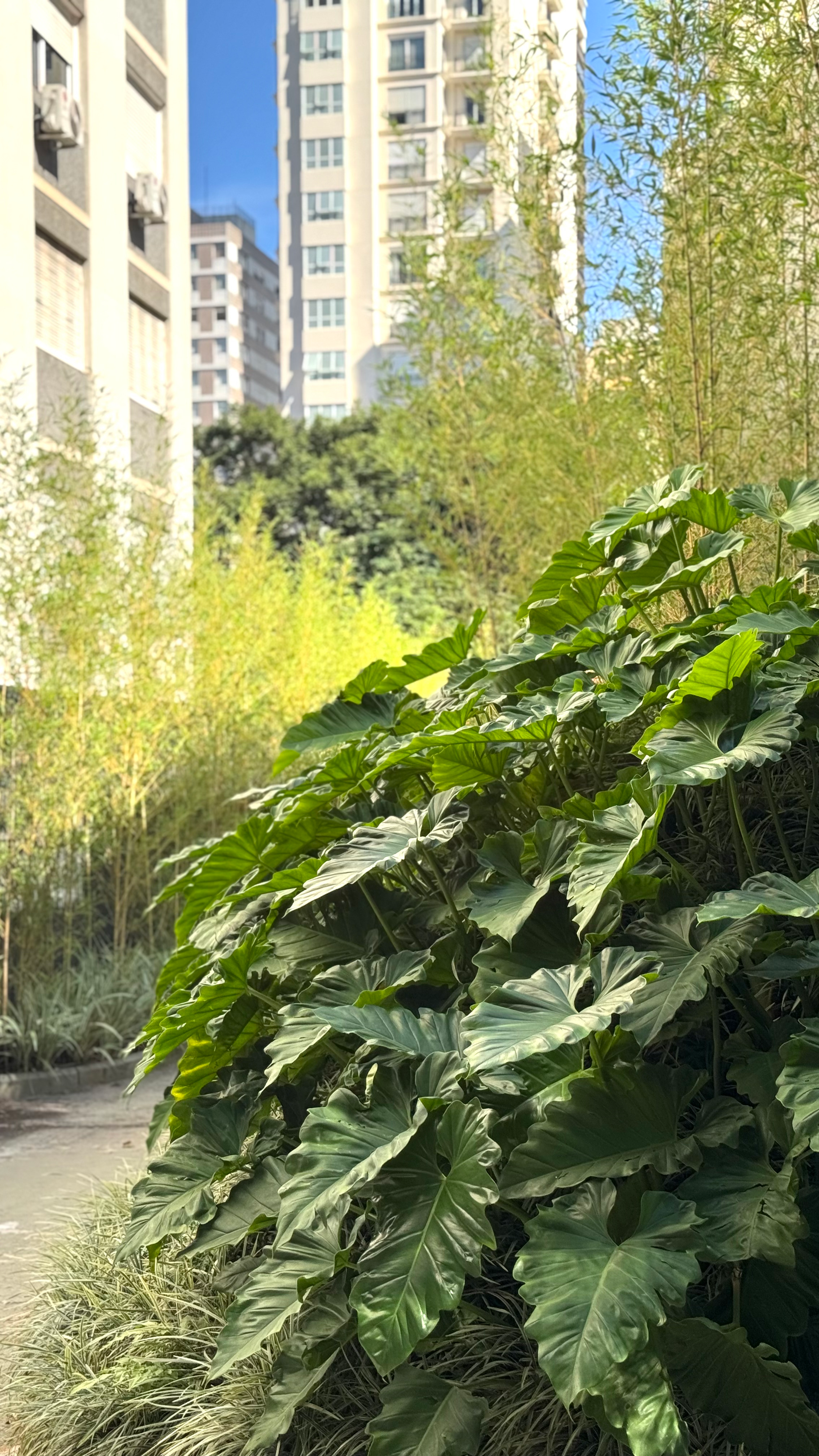 IMG_552rrrr1 (1).png