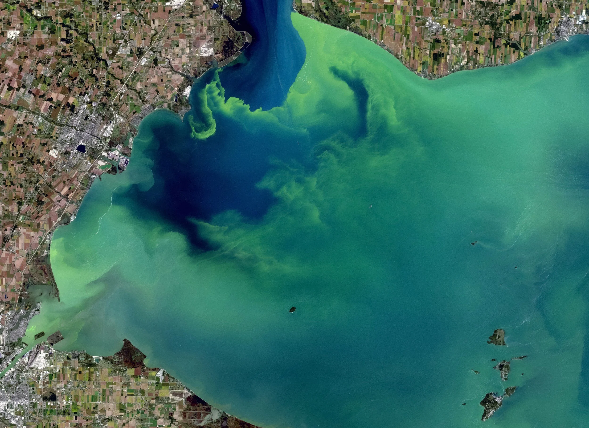 A satellite image showing a large body of water with green algae or sediment, adjacent to a developed and agricultural landscape.