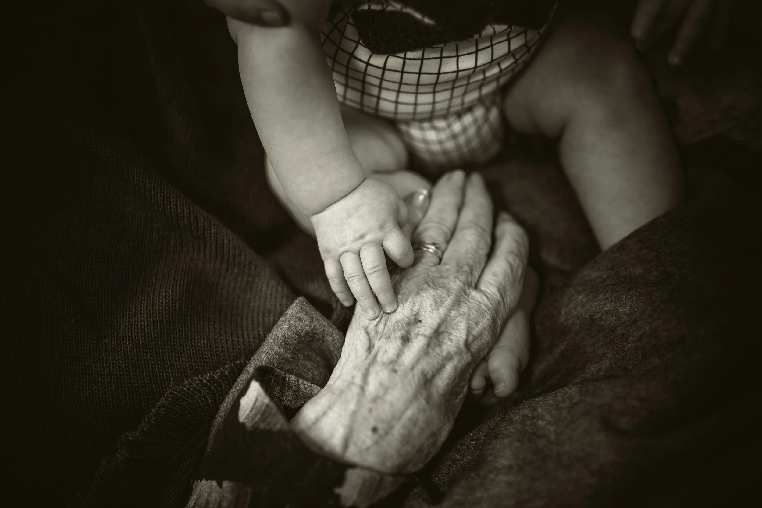 A baby touching an elderly person's hand, both resting on a person's lap, in black and white.