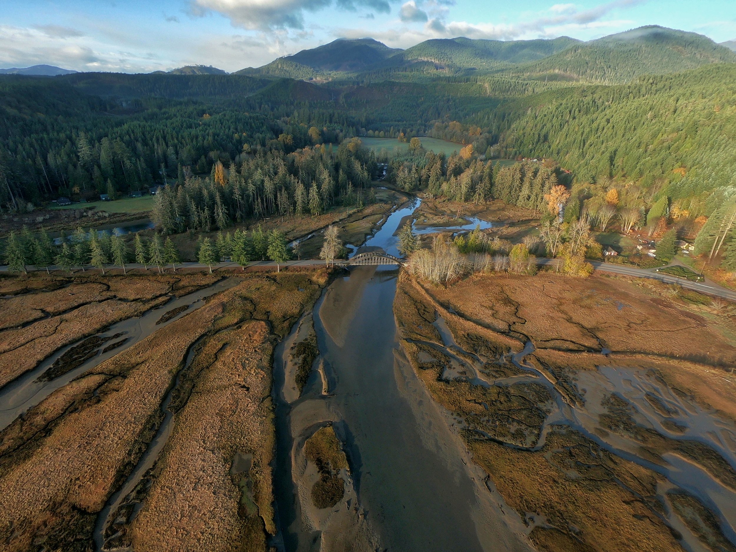 Aerial view of a river flowing through a marshland with patches of water and grass, surrounded by a forest of tall evergreen trees and mountains in the background, under a partly cloudy sky.